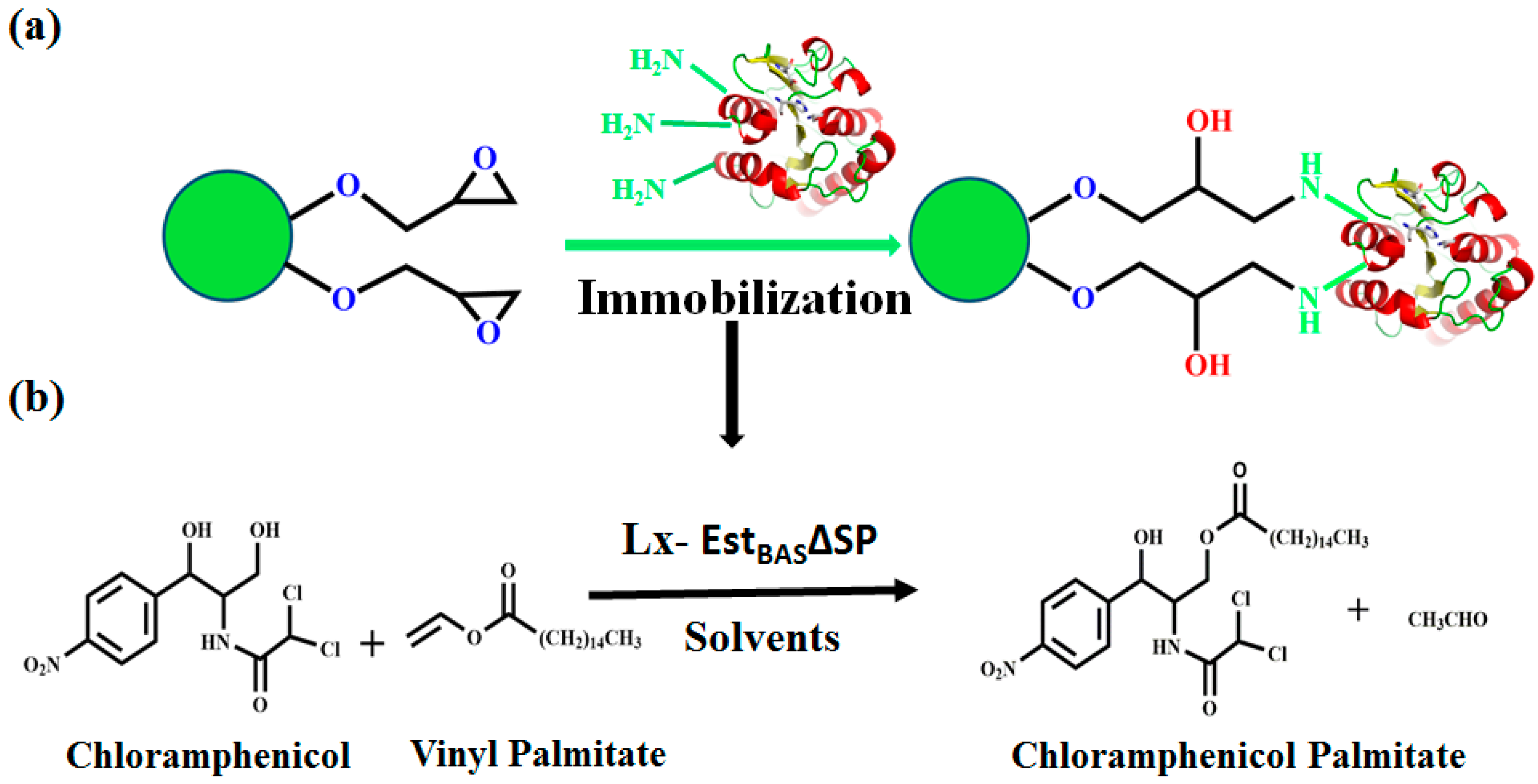Catalysts 09 00620 sch001