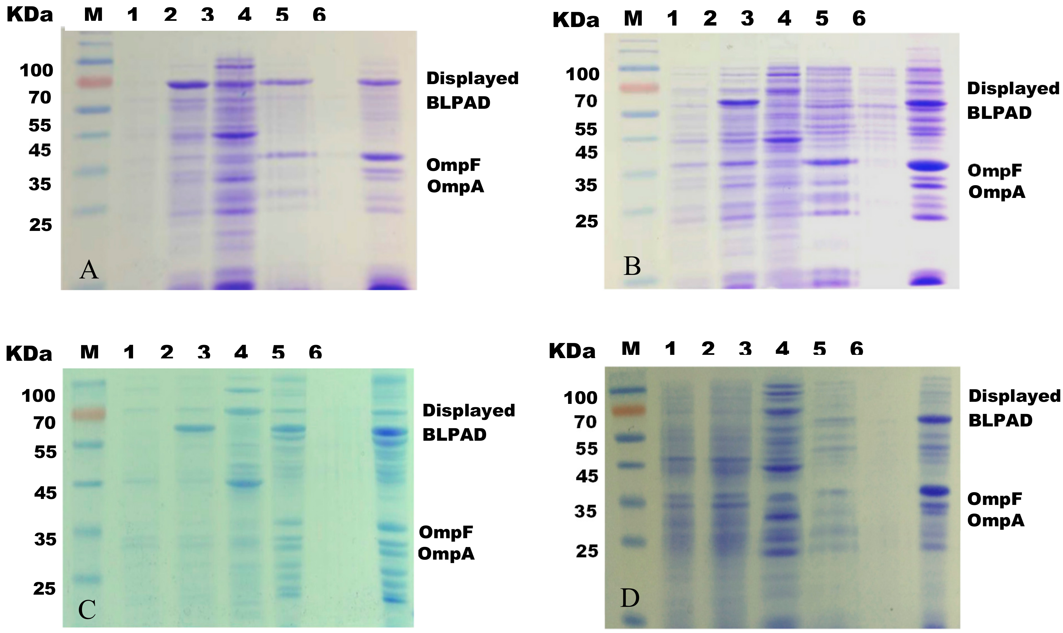 Catalysts 09 00634 g003