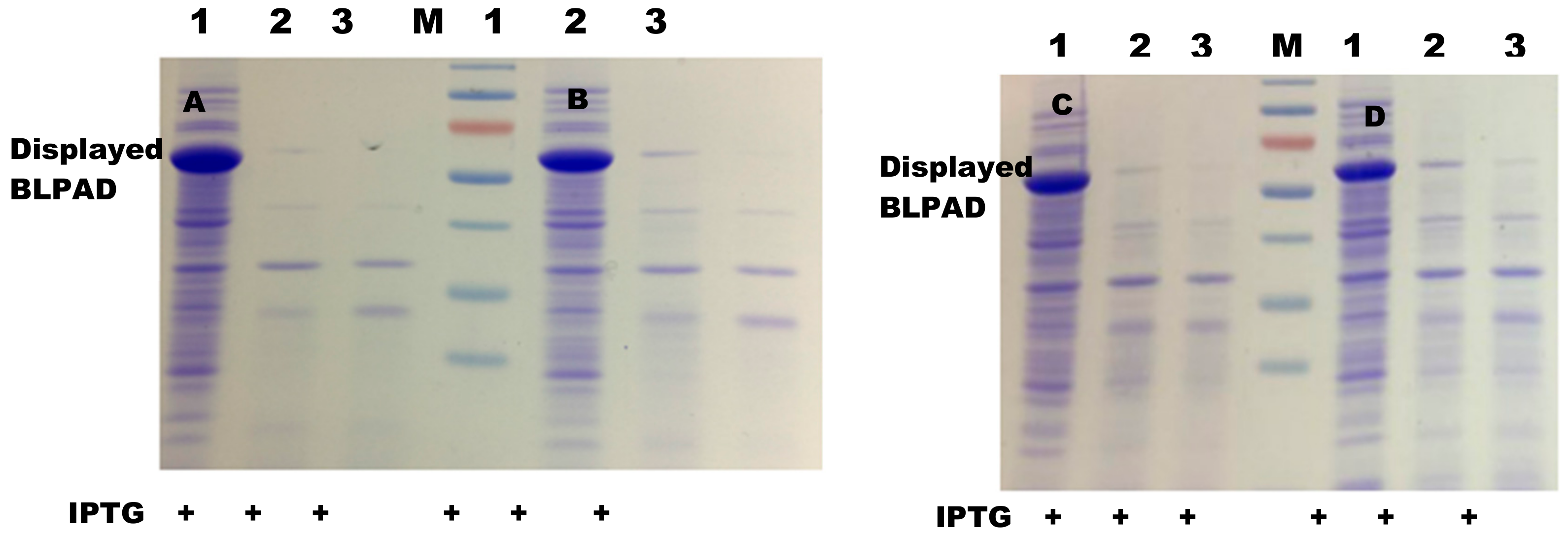 Catalysts 09 00634 g004