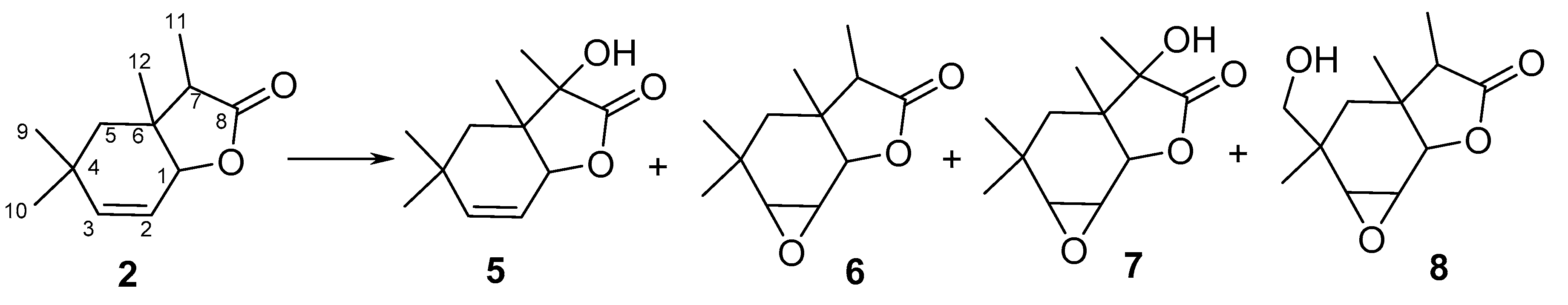 Catalysts 09 00643 sch002