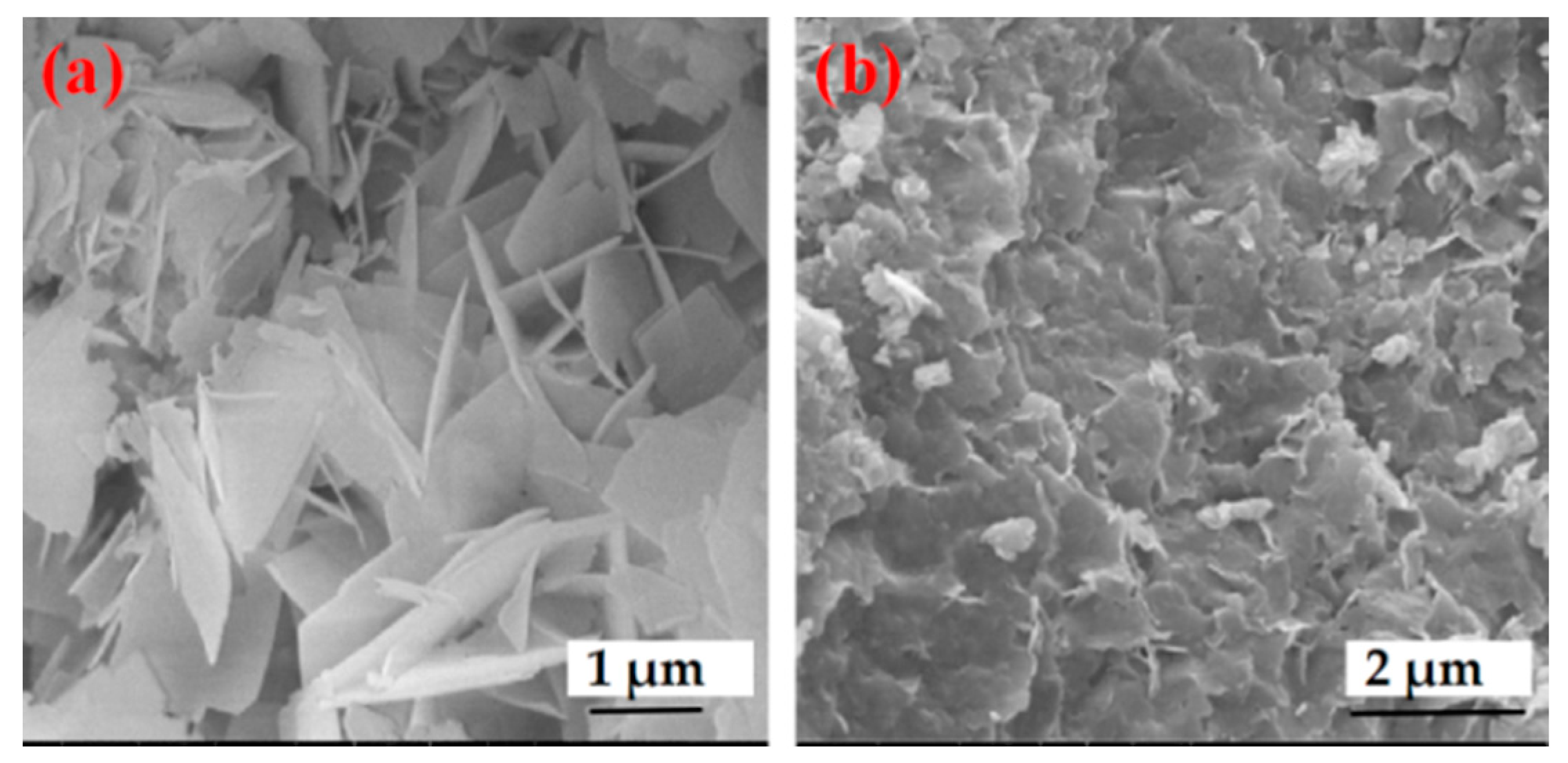 Catalysts 09 00648 g001 Catalysts 09 00648 g001