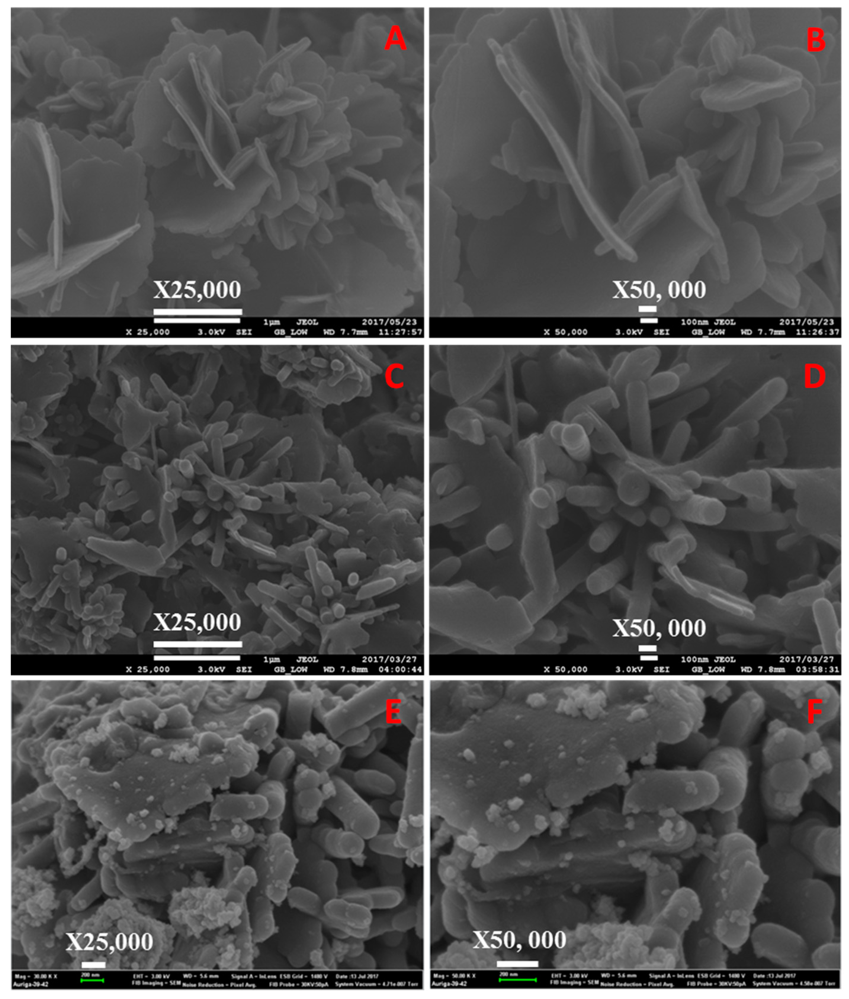 Catalysts 09 00656 g005