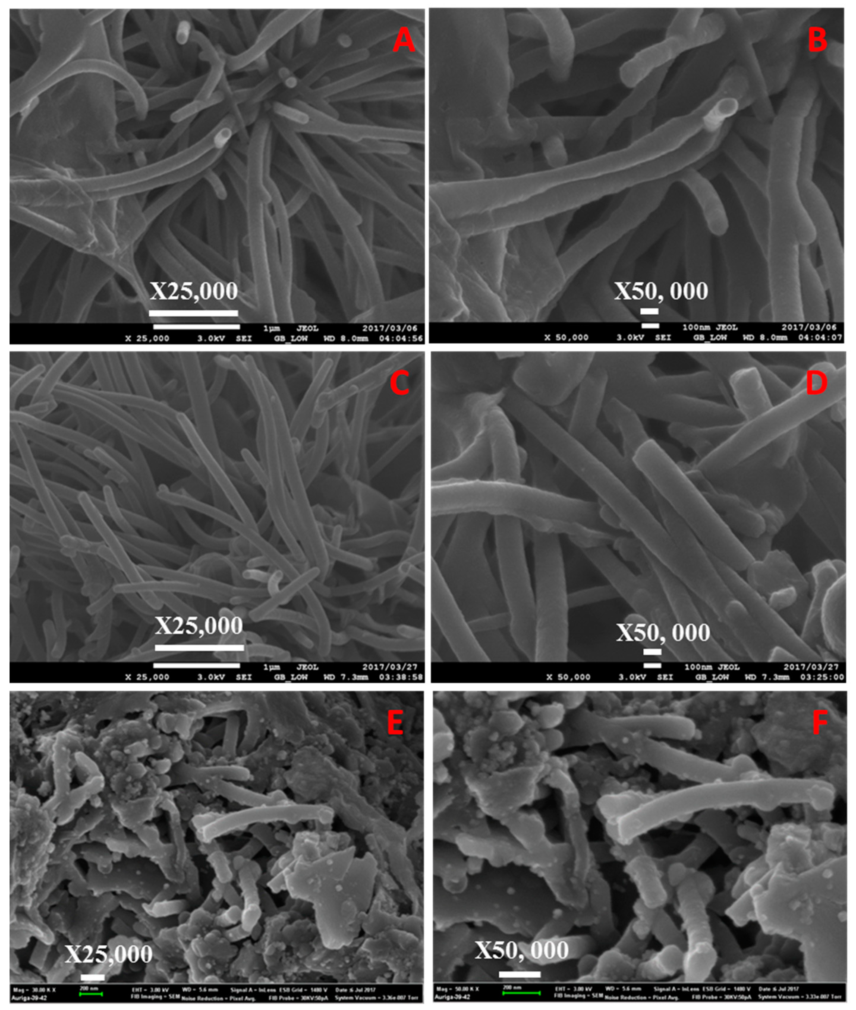 Catalysts 09 00656 g007