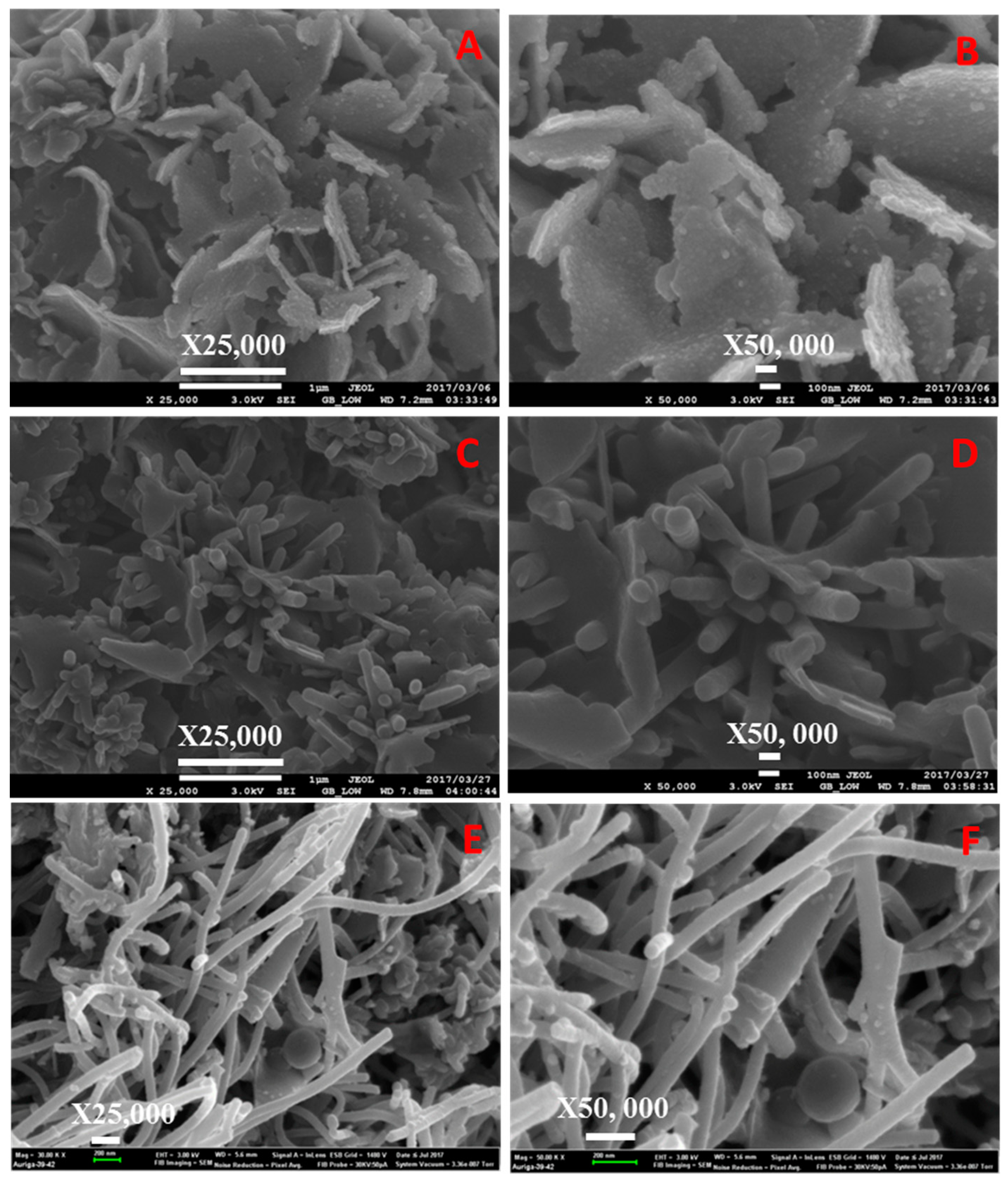 Catalysts 09 00656 g008