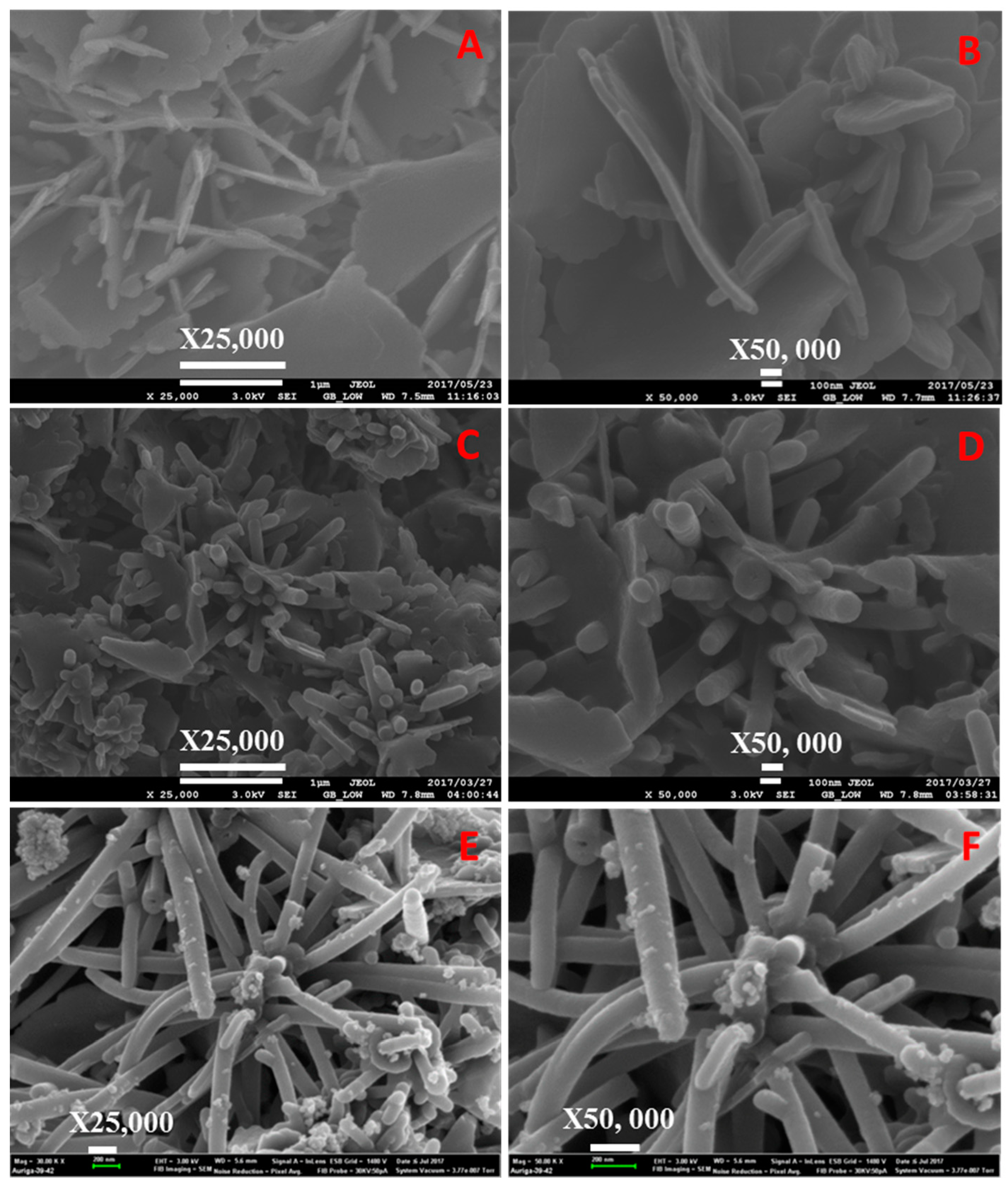 Catalysts 09 00656 g009