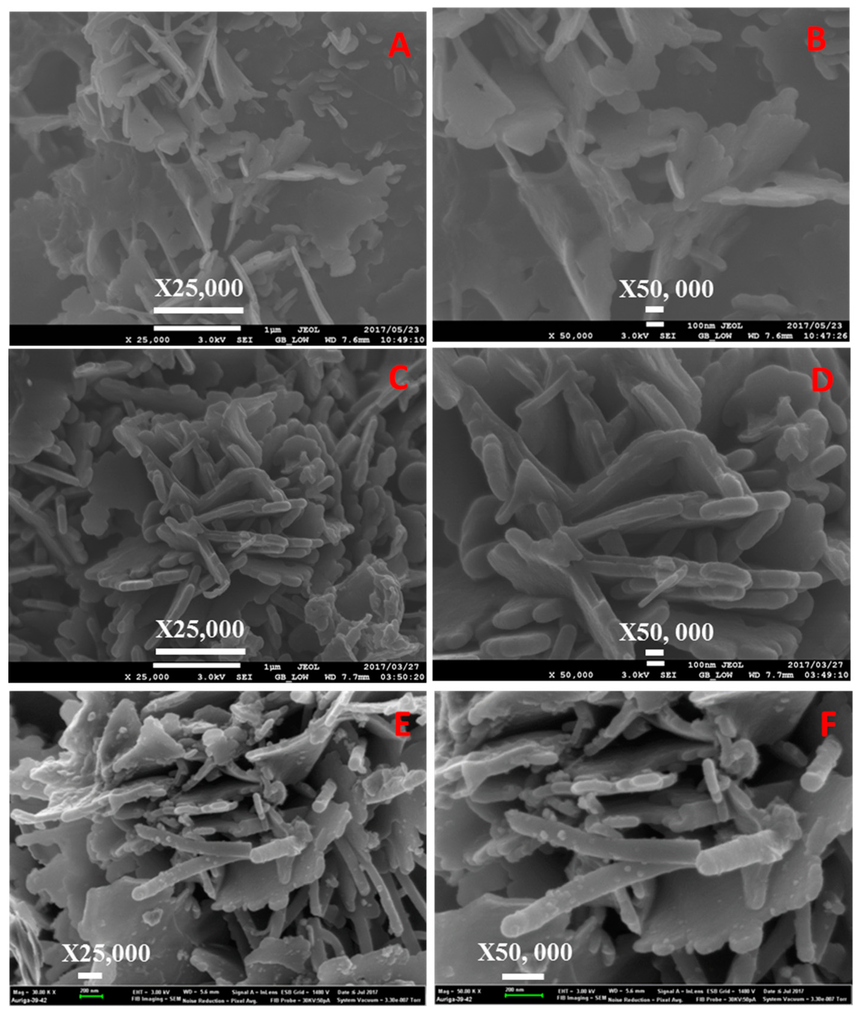Catalysts 09 00656 g010