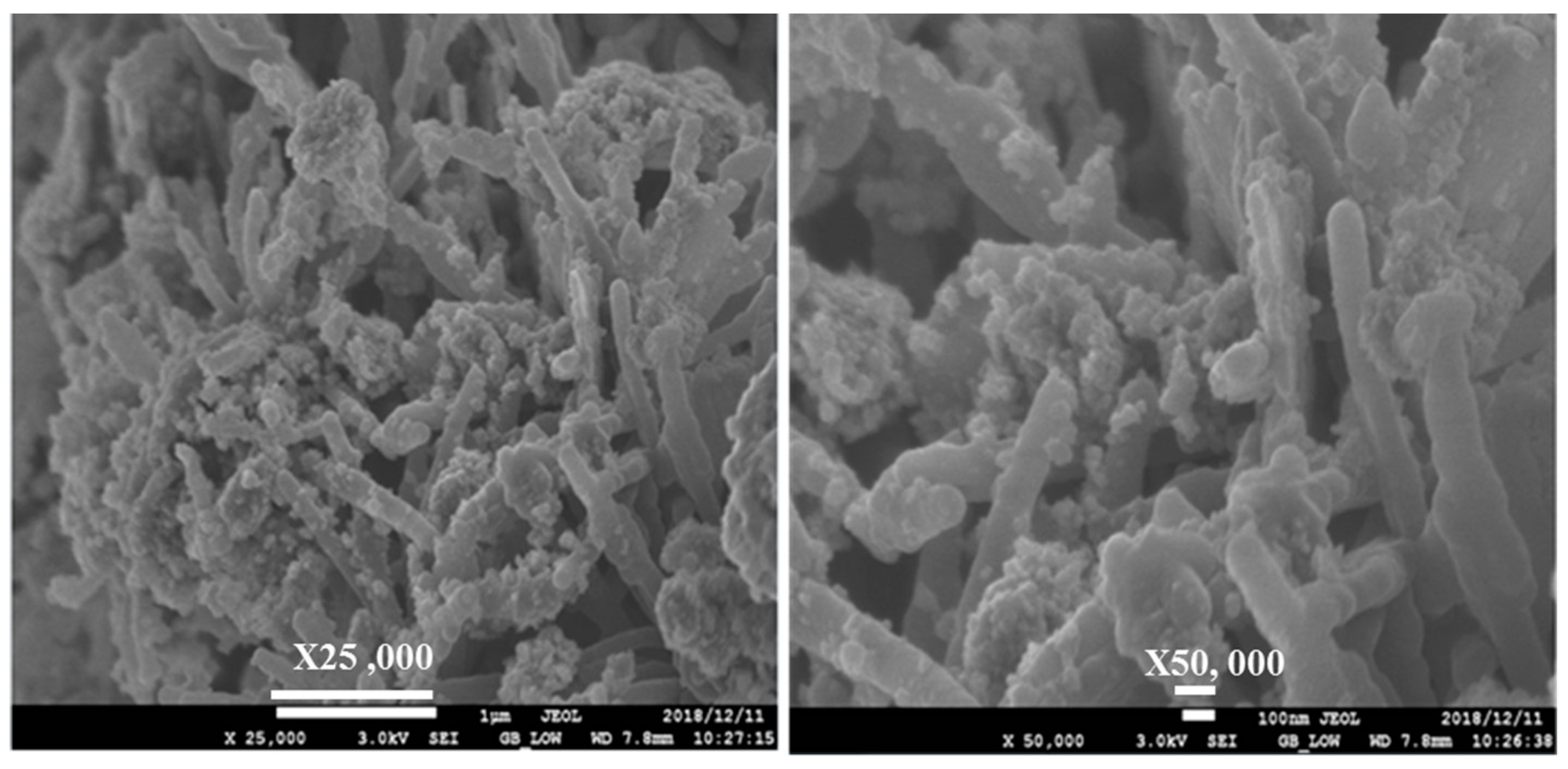 Catalysts 09 00656 g013