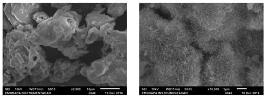 Catalysts 09 00657 g0a1