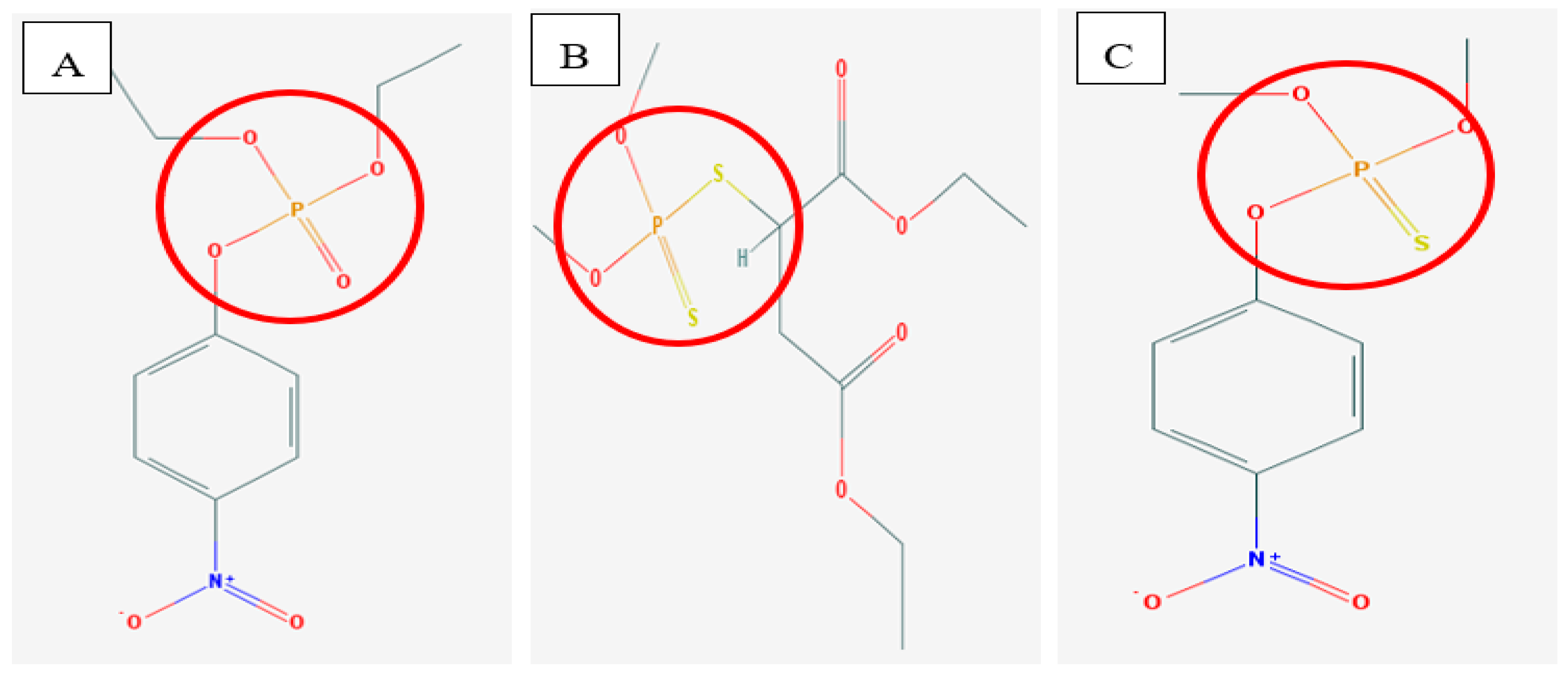 Catalysts 09 00671 g001