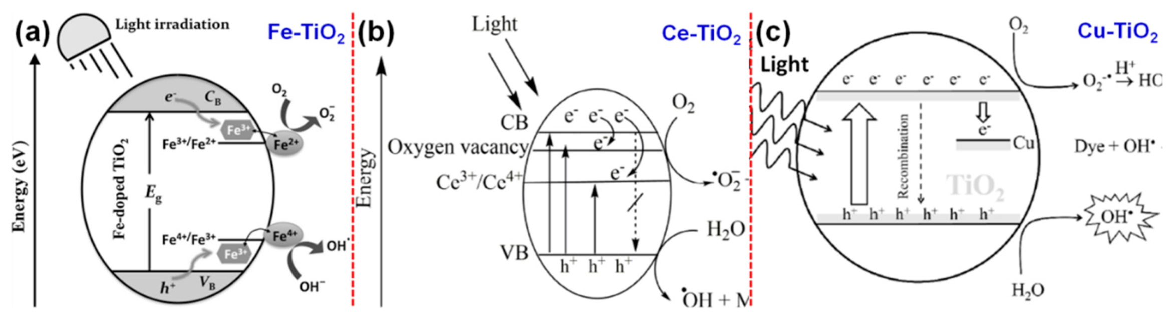 Catalysts 09 00680 g004