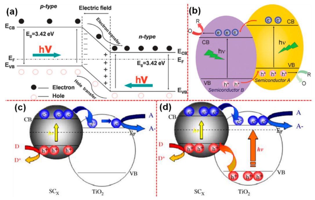 Catalysts 09 00680 g005