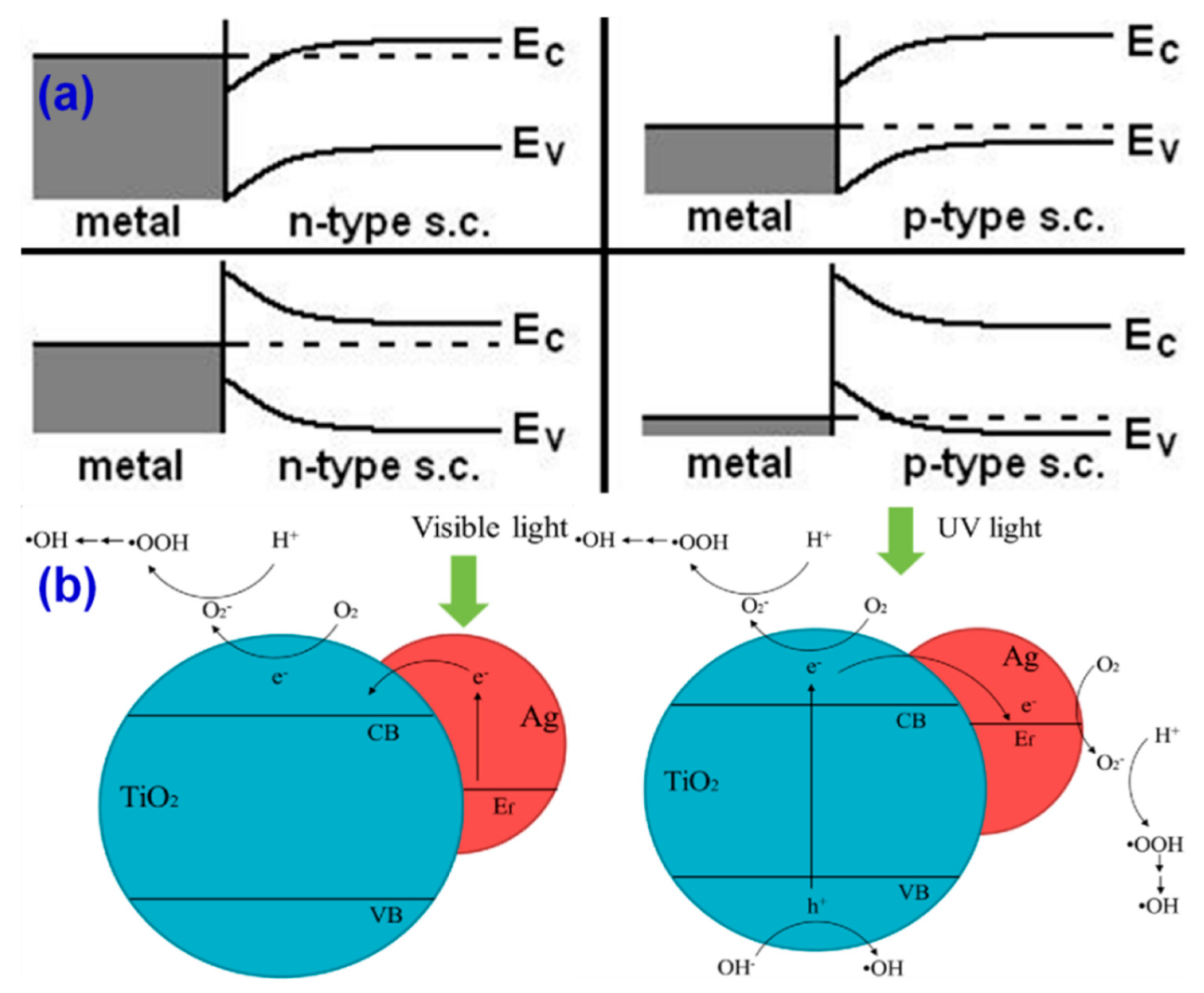 Catalysts 09 00680 g009