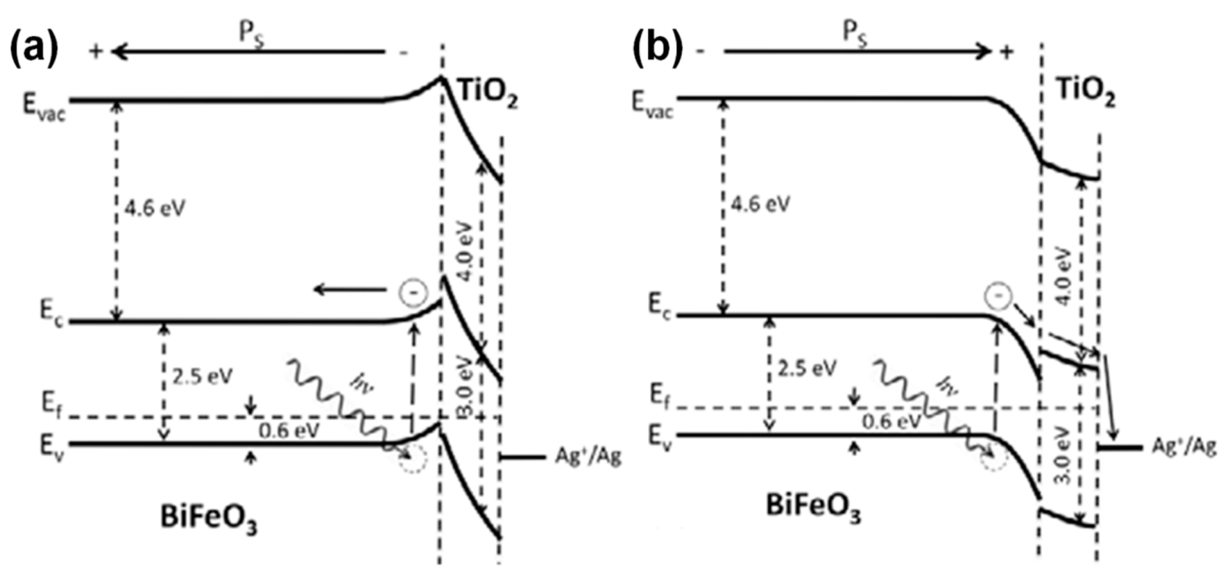Catalysts 09 00680 g012