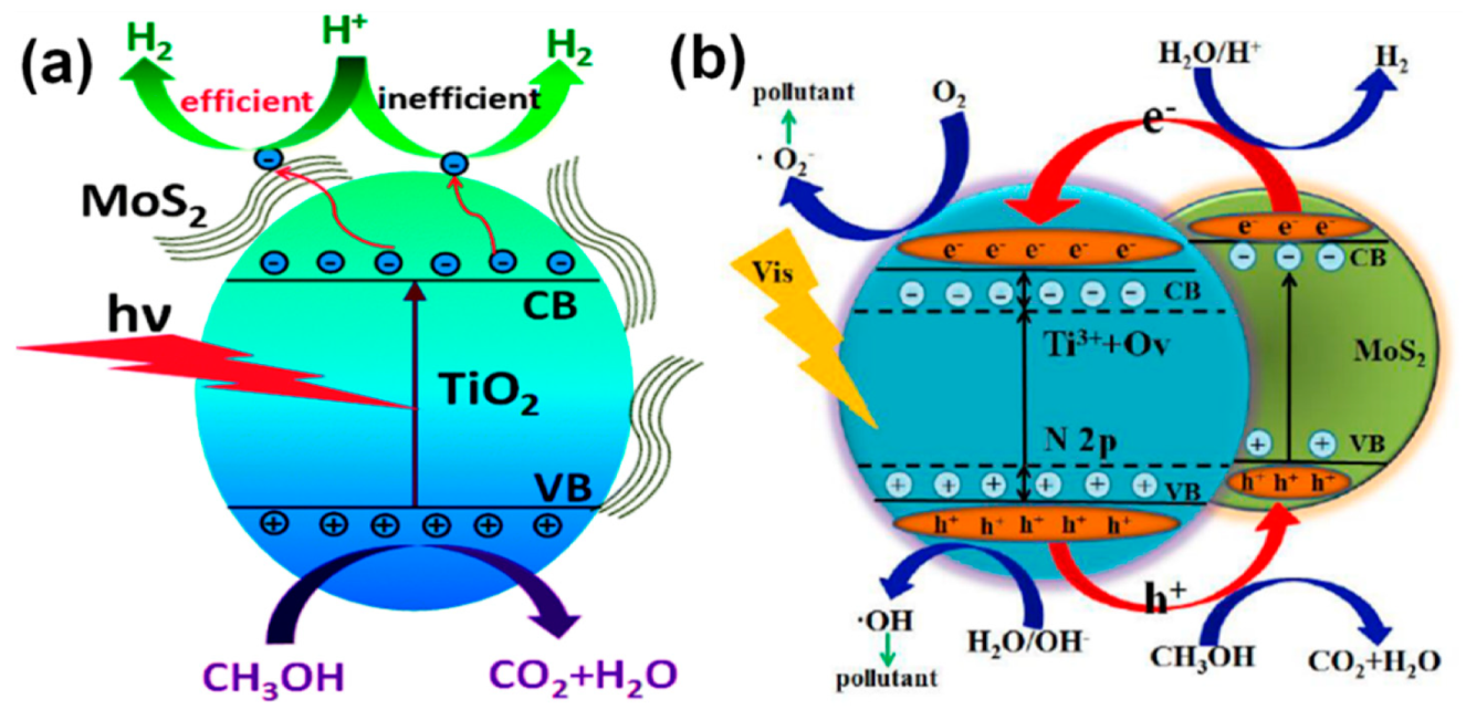 Catalysts 09 00680 g014