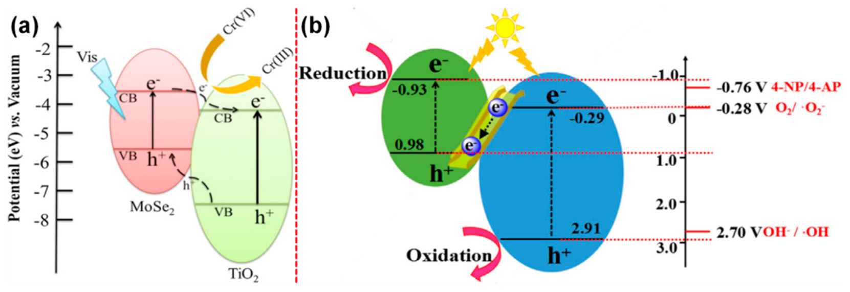 Catalysts 09 00680 g016
