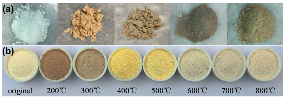Catalysts 09 00680 g020