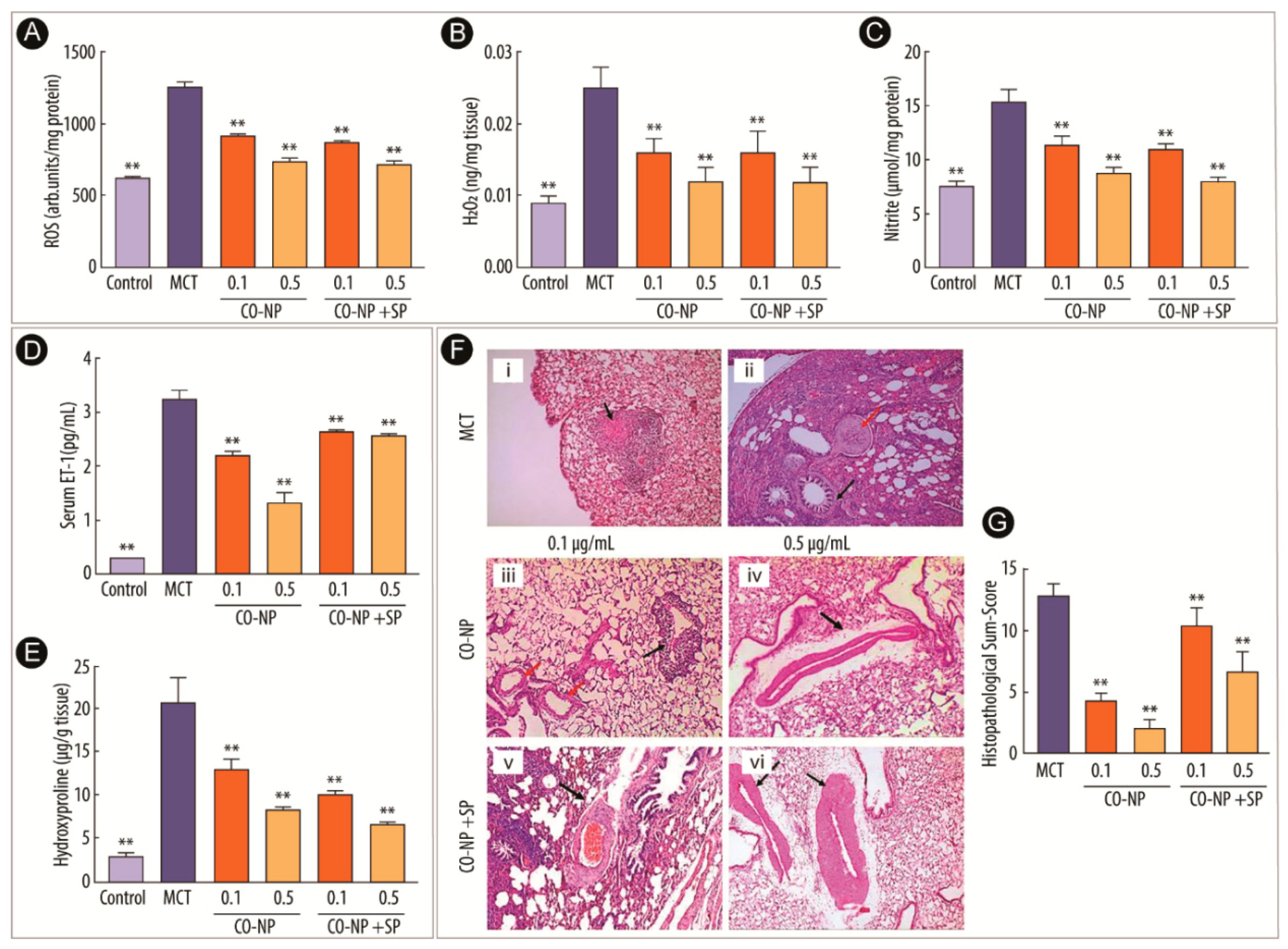 Catalysts 09 00691 g001 Catalysts 09 00691 g001