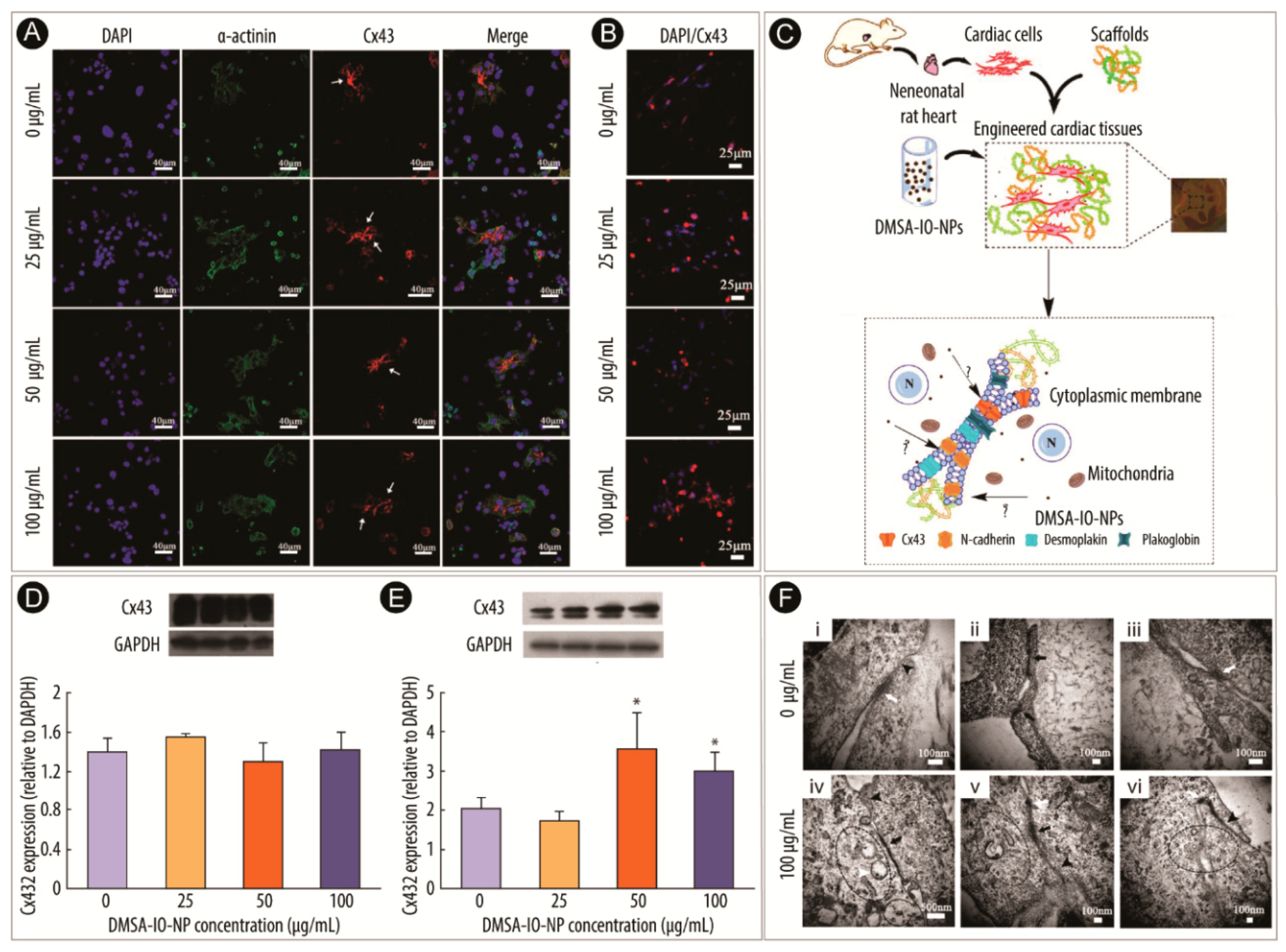 Catalysts 09 00691 g002 Catalysts 09 00691 g002