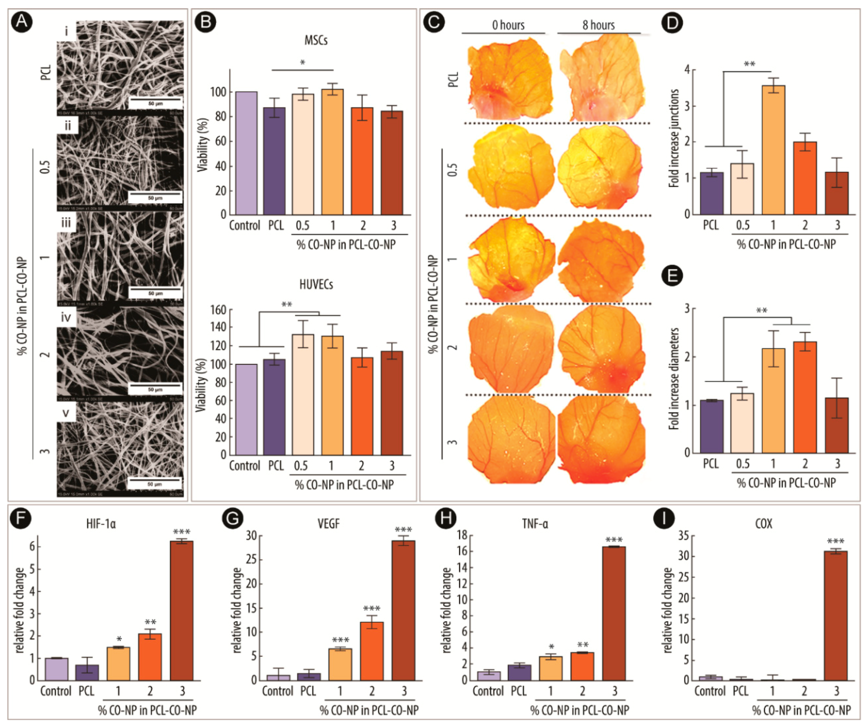 Catalysts 09 00691 g003 Catalysts 09 00691 g003