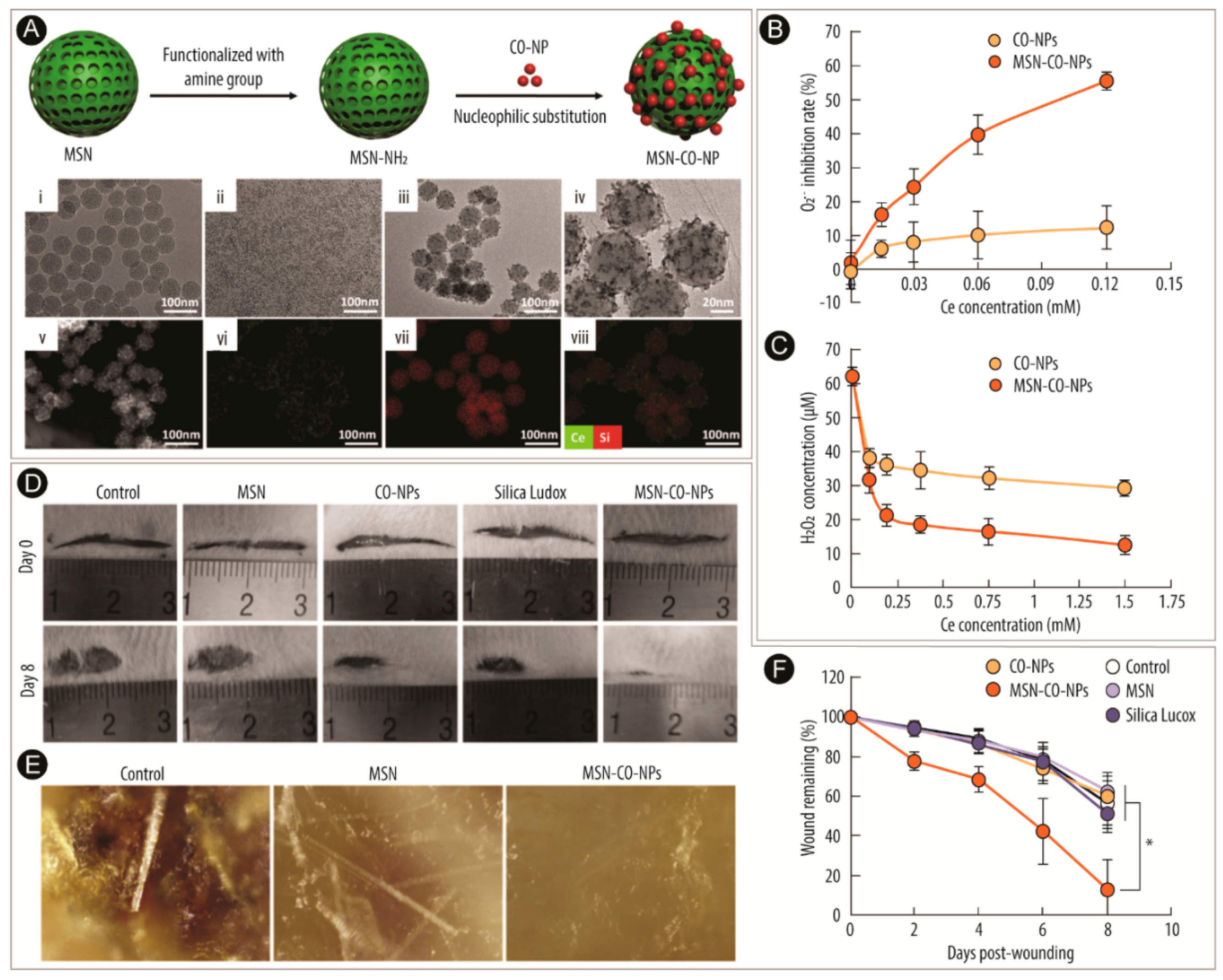 Catalysts 09 00691 g007 Catalysts 09 00691 g007