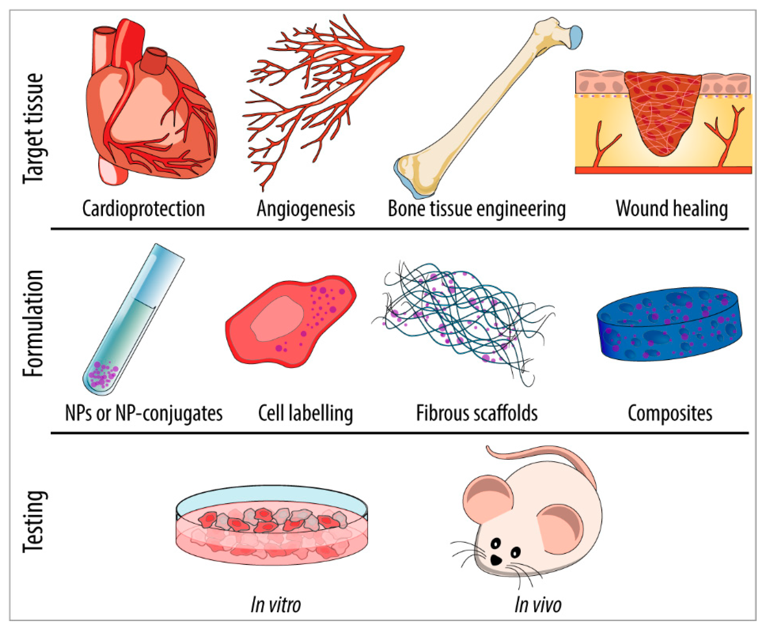 Catalysts 09 00691 sch001 Catalysts 09 00691 sch001