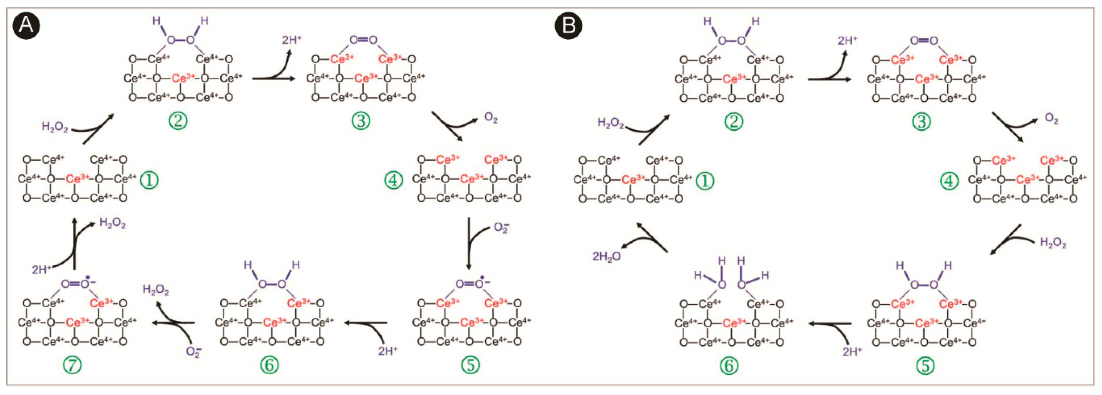 Catalysts 09 00691 sch003 Catalysts 09 00691 sch003
