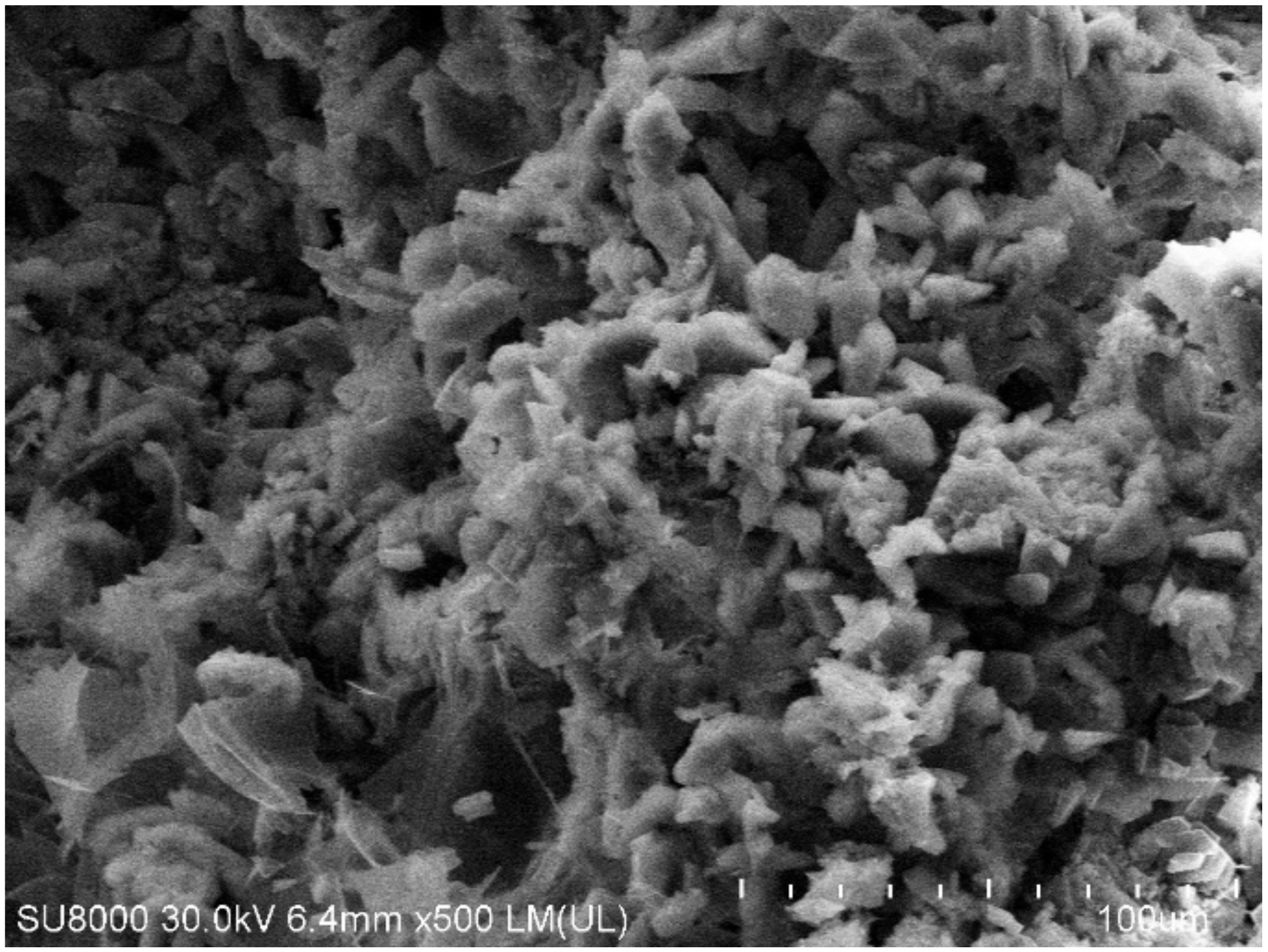 Catalysts 09 00693 g003 Catalysts 09 00693 g003