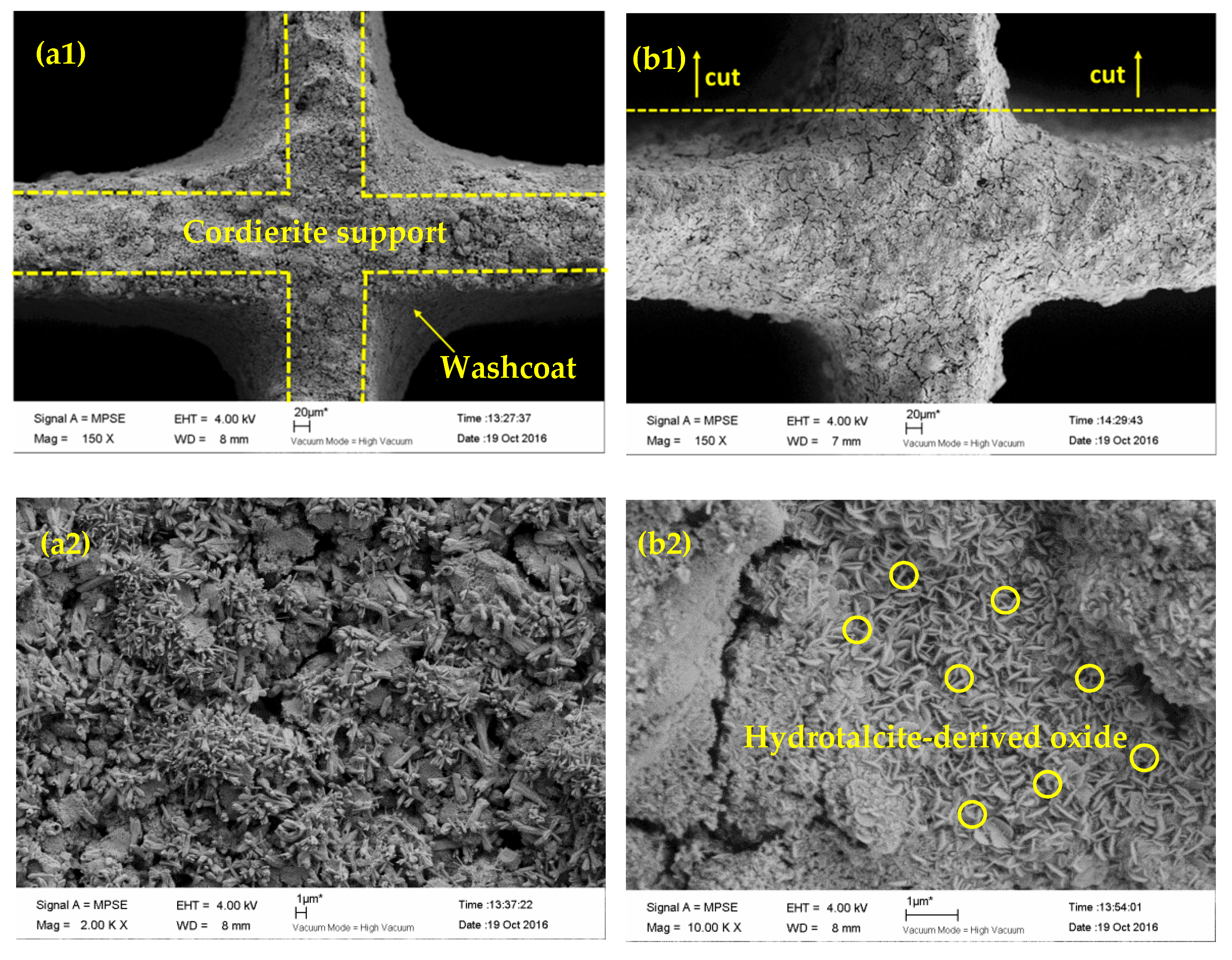 Catalysts 09 00696 g008
