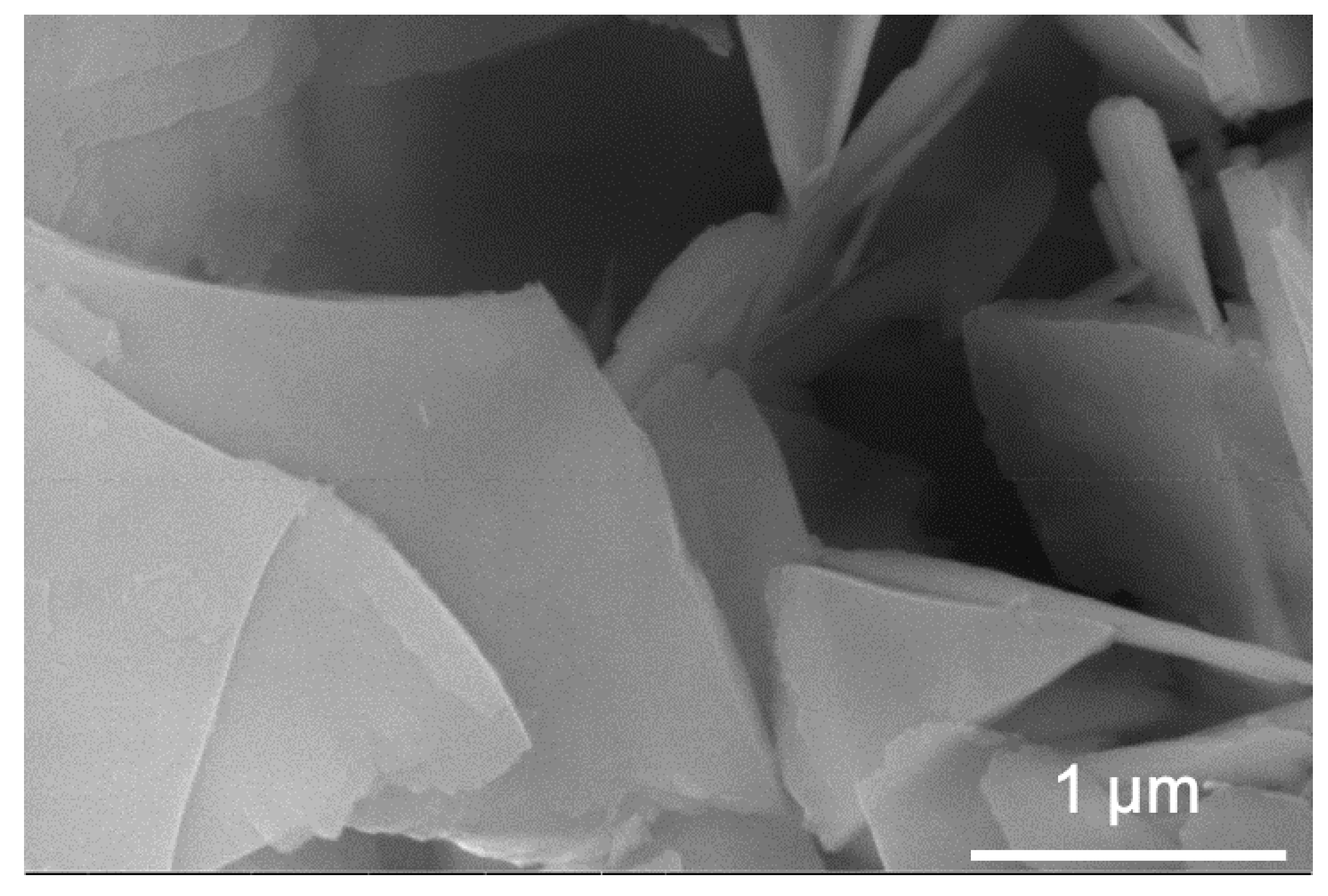 Catalysts 09 00787 g001 Catalysts 09 00787 g001