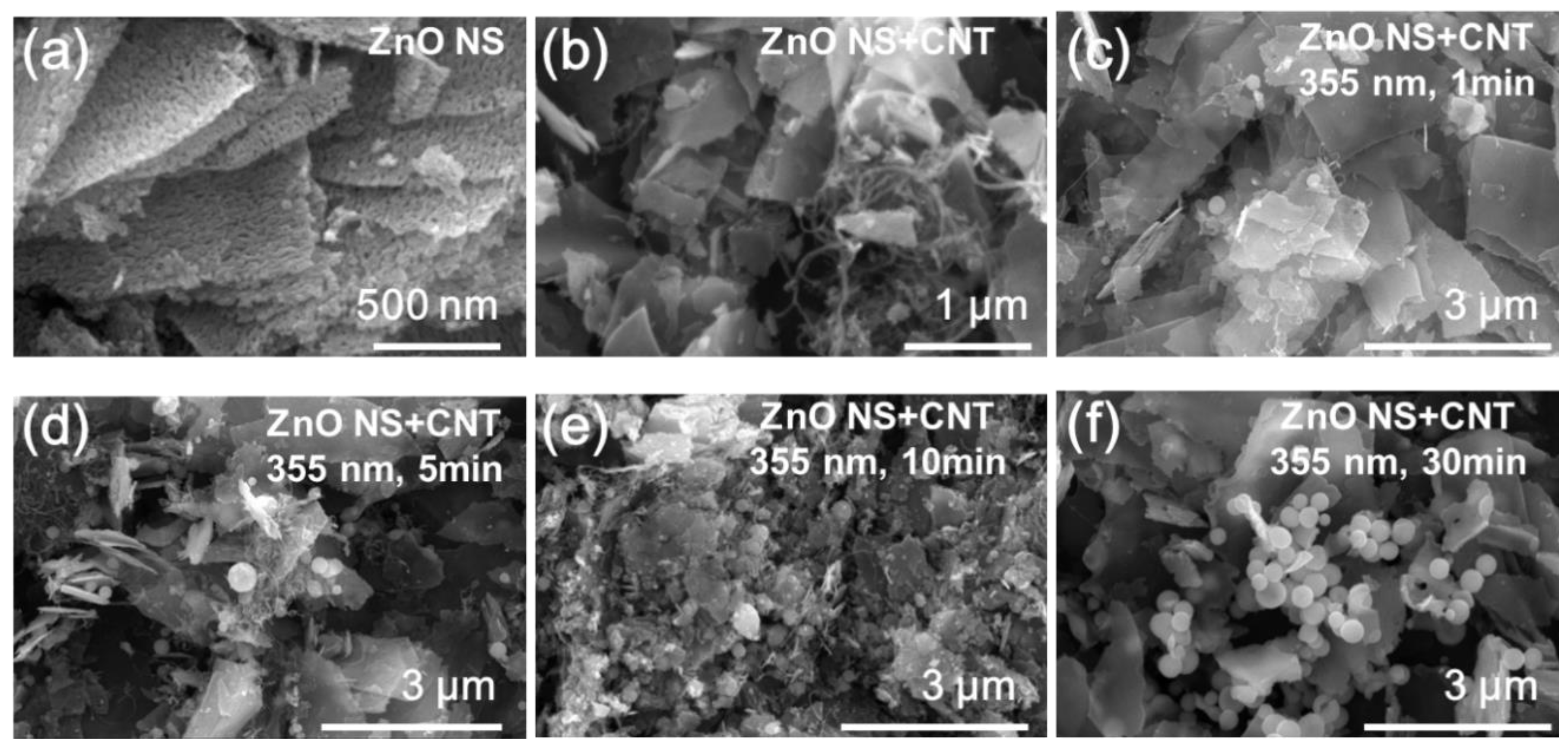 Catalysts 09 00787 g002 Catalysts 09 00787 g002