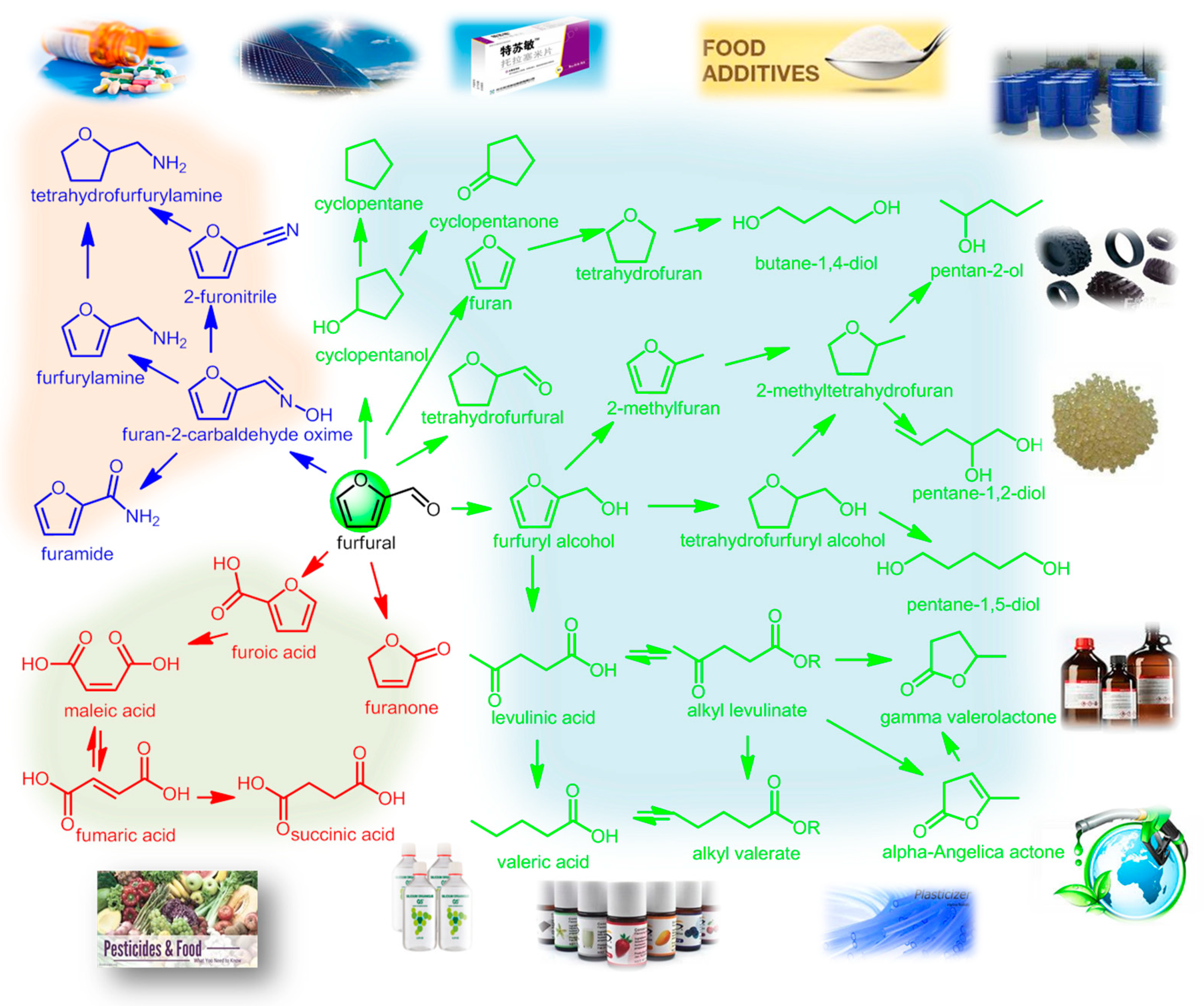 Catalysts 09 00796 g001