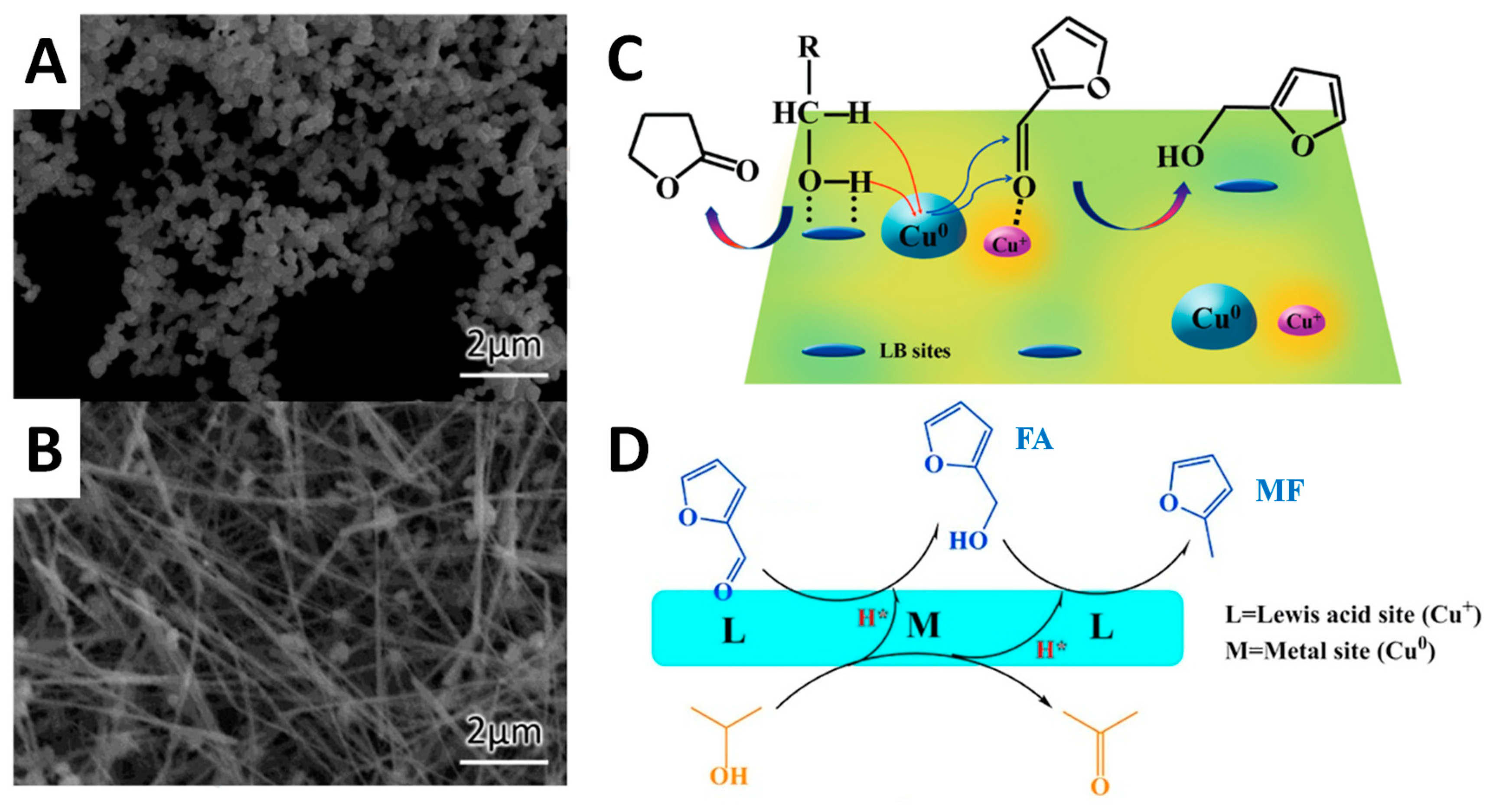 Catalysts 09 00796 g002