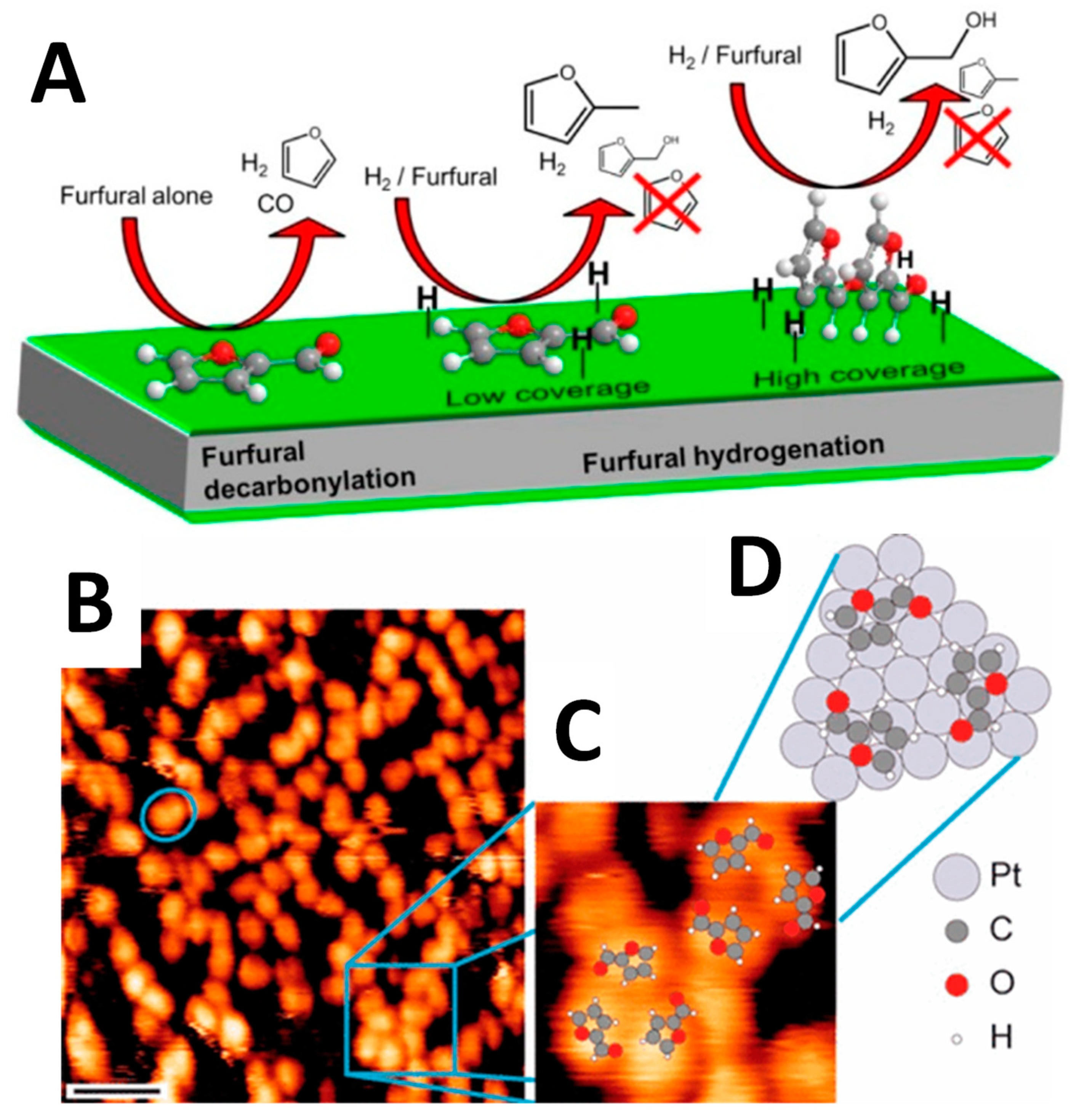 Catalysts 09 00796 g006