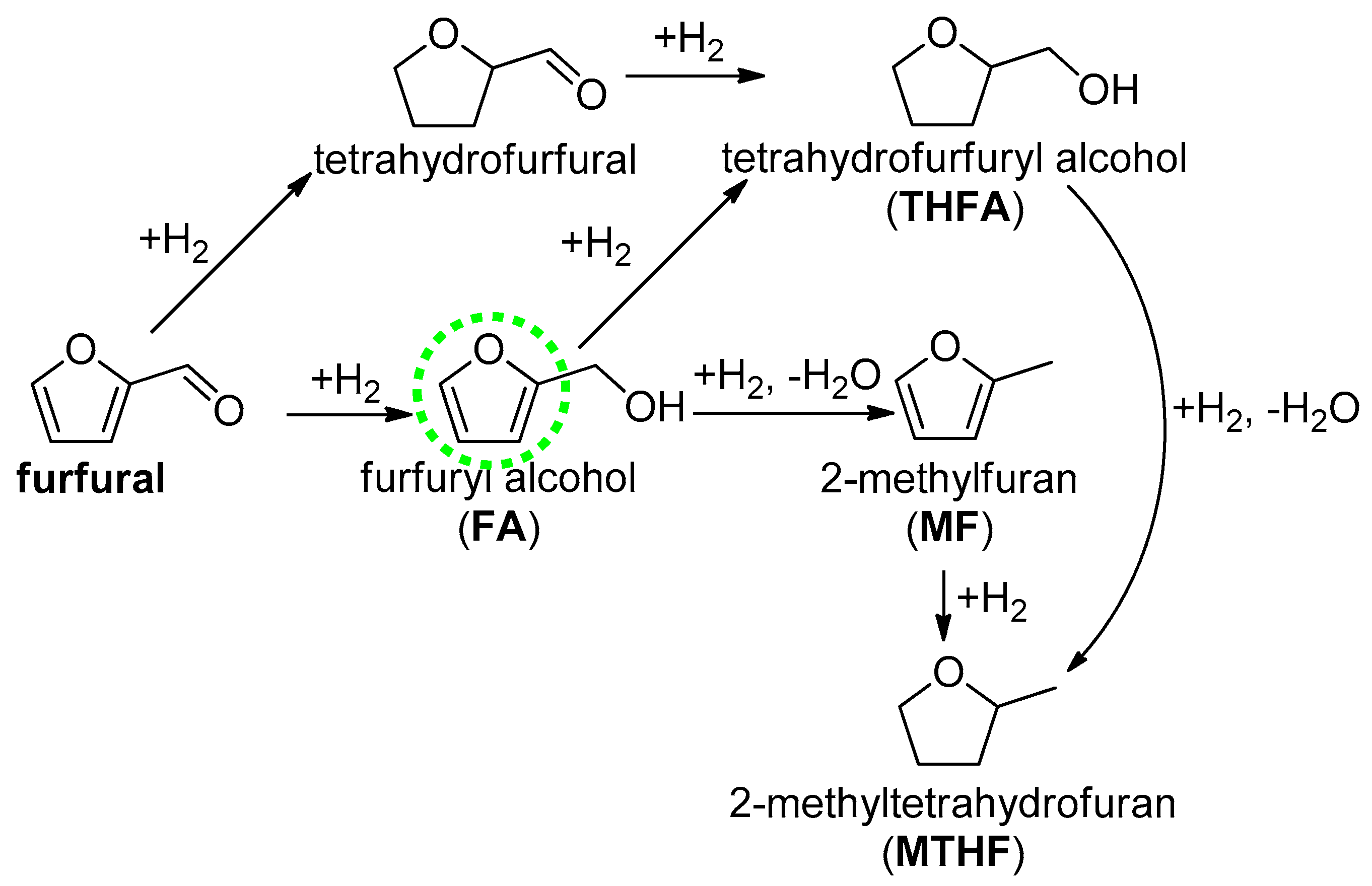 Catalysts 09 00796 sch001
