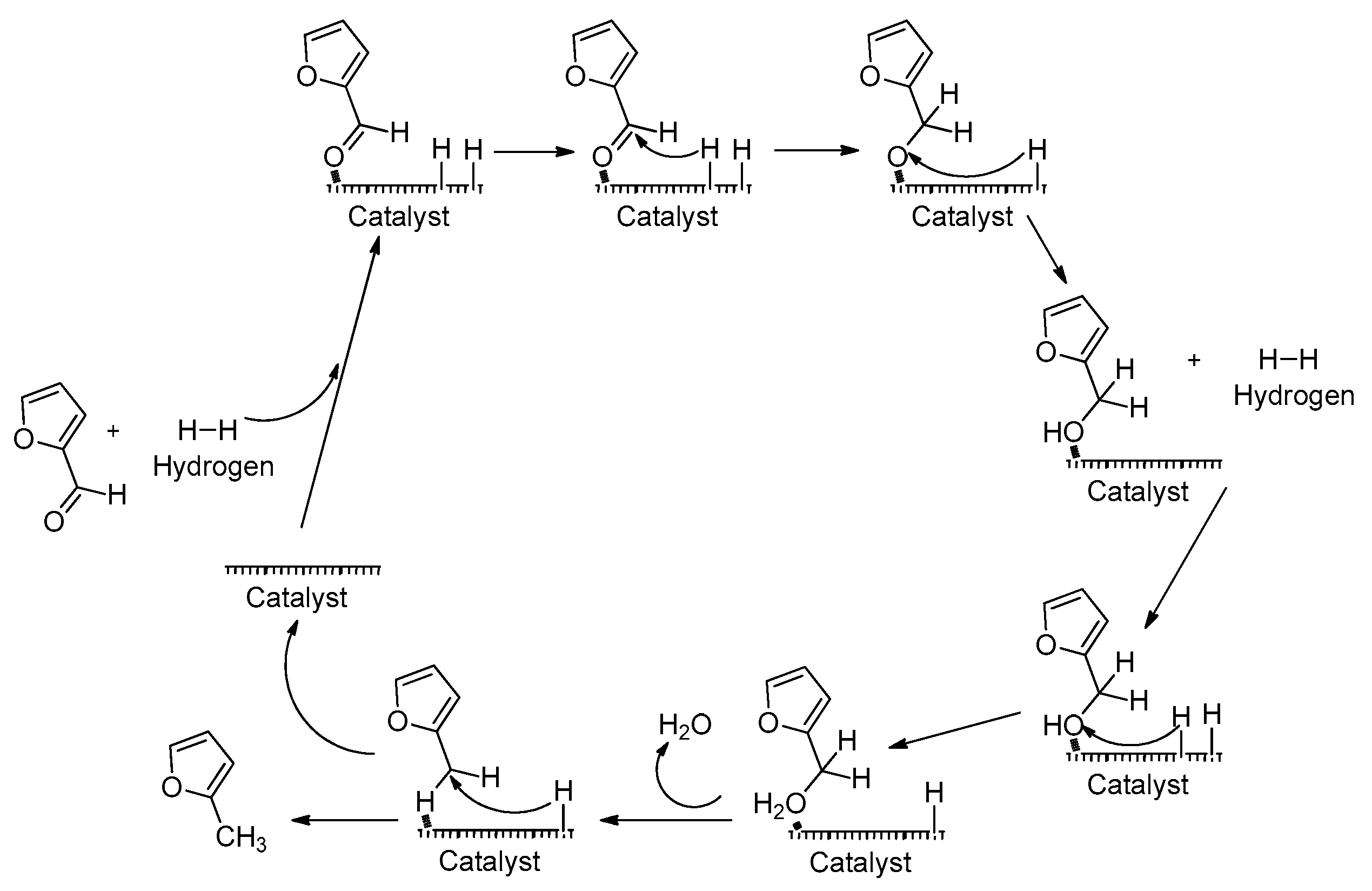 Catalysts 09 00796 sch002