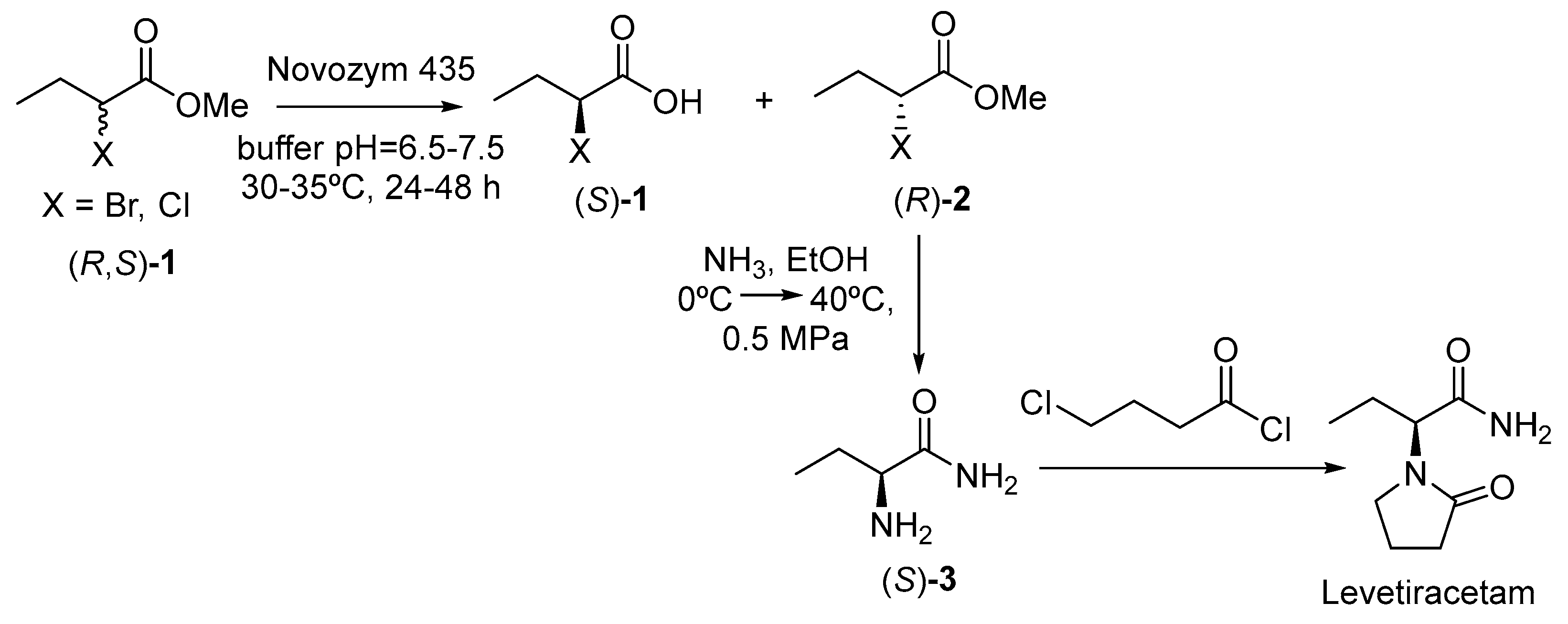 Catalysts 09 00802 sch001