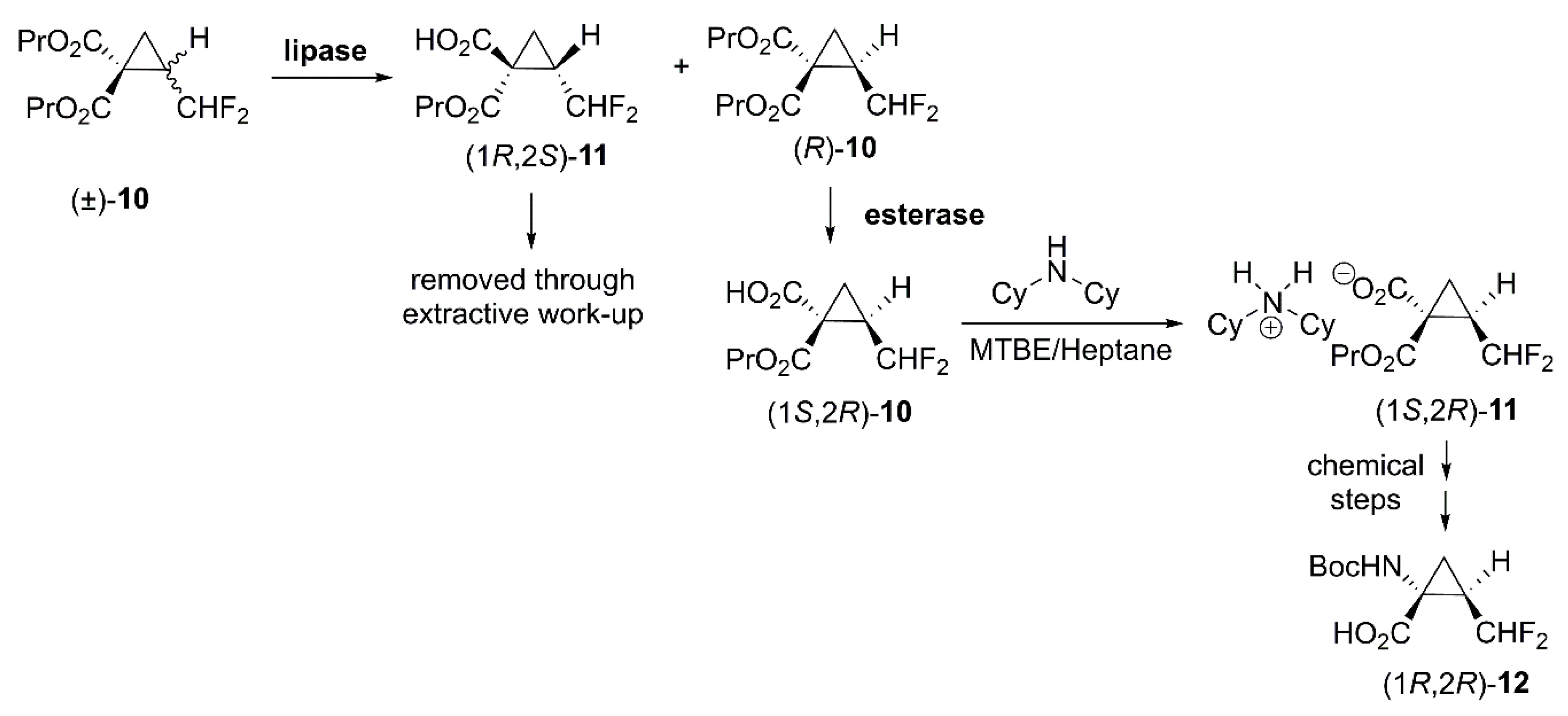 Catalysts 09 00802 sch004