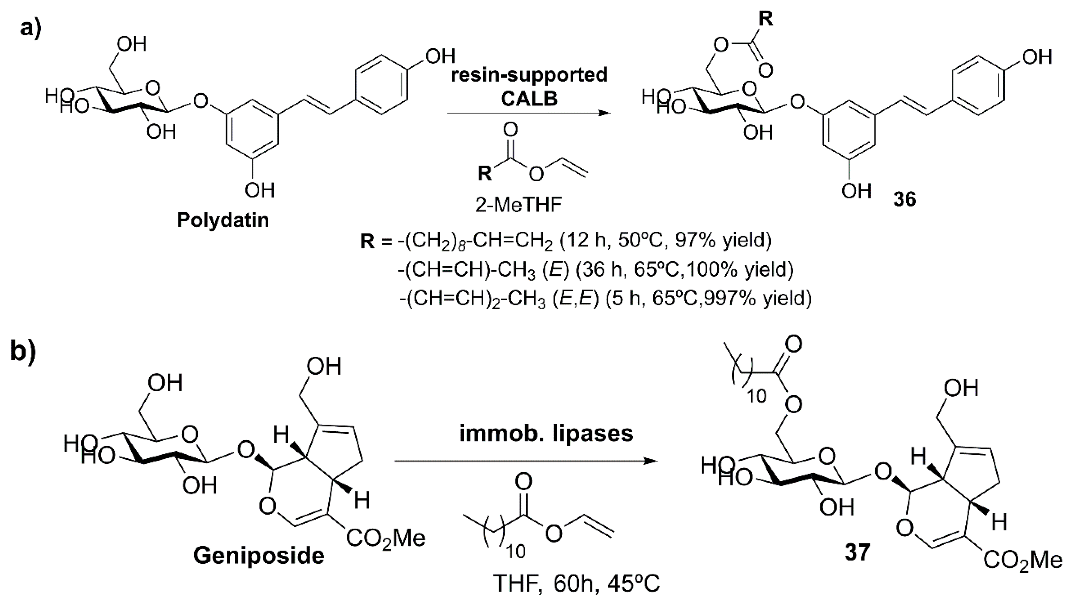 Catalysts 09 00802 sch014