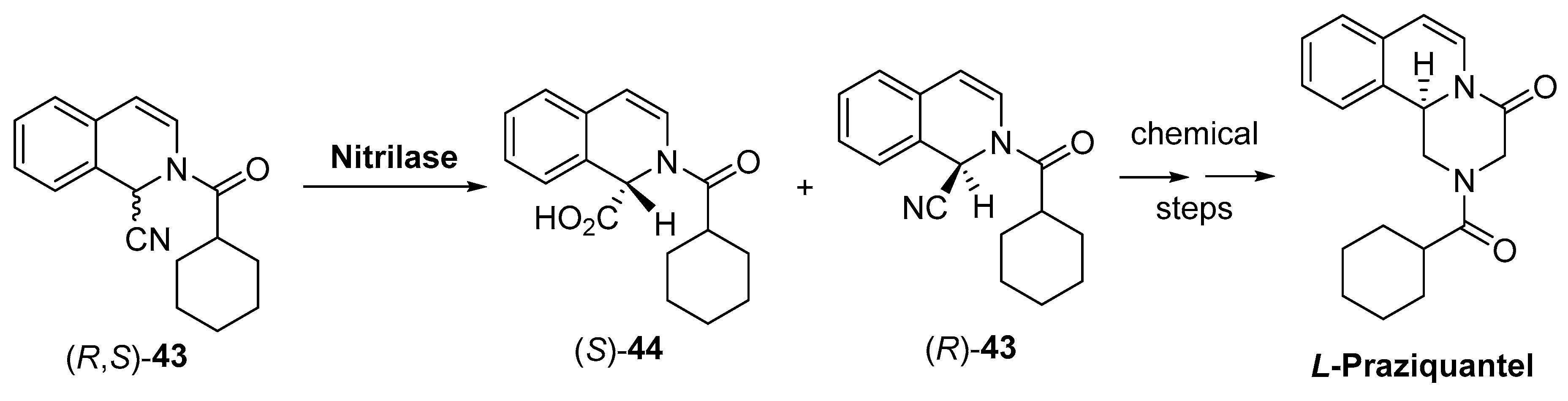 Catalysts 09 00802 sch017