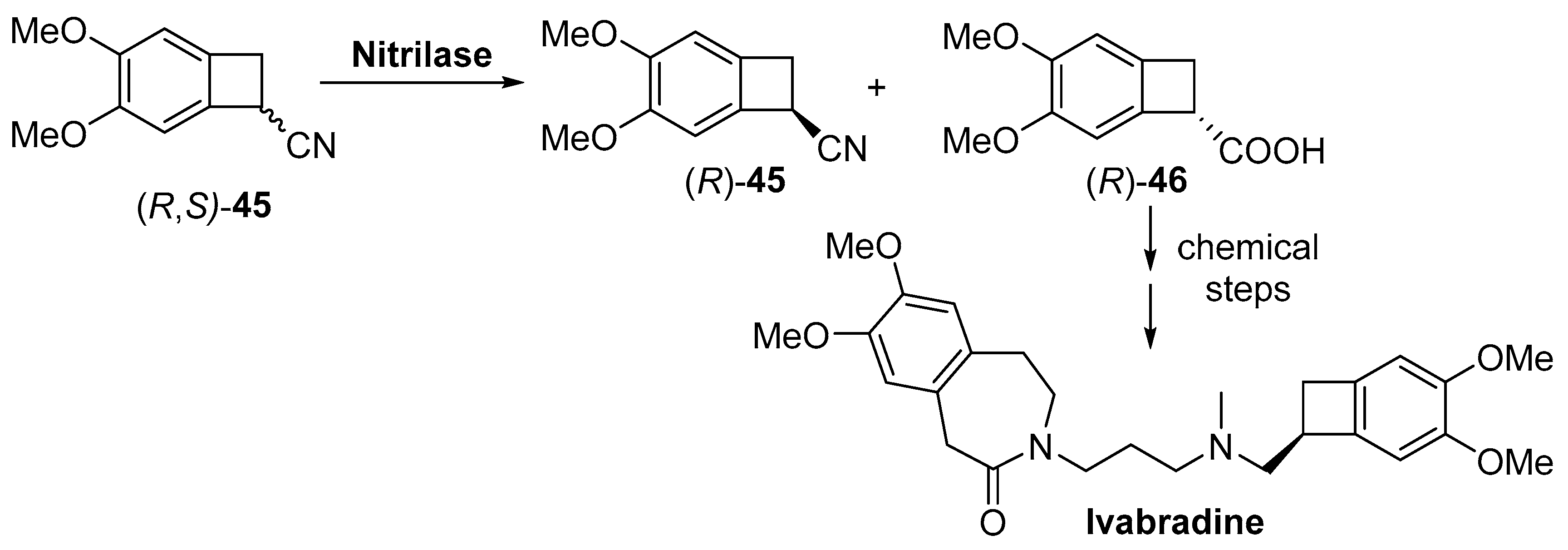 Catalysts 09 00802 sch018