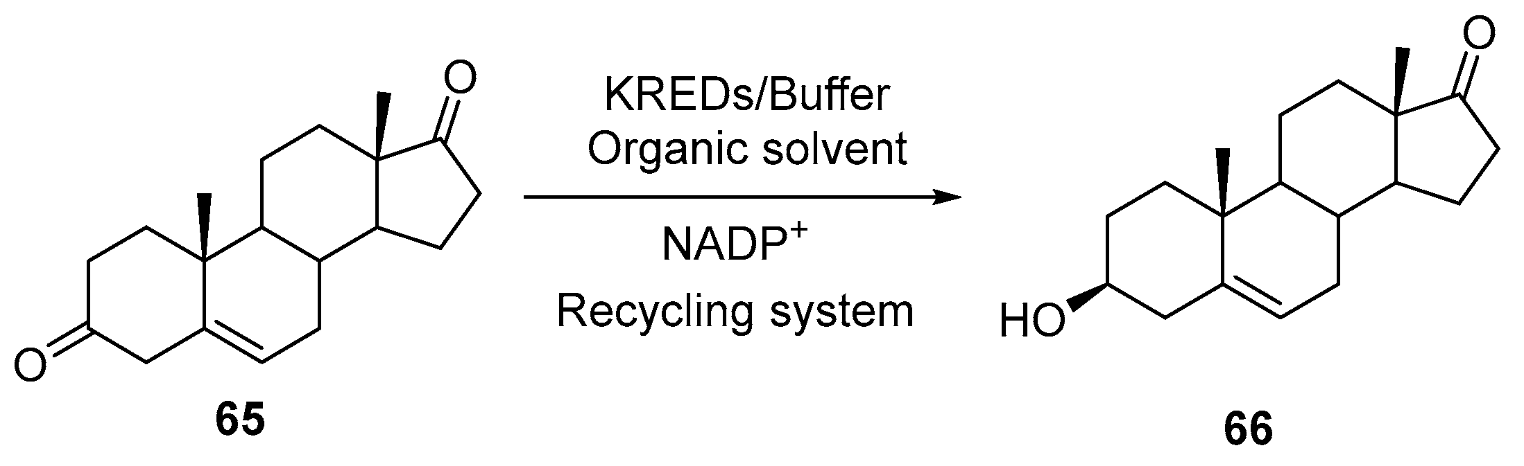 Catalysts 09 00802 sch024