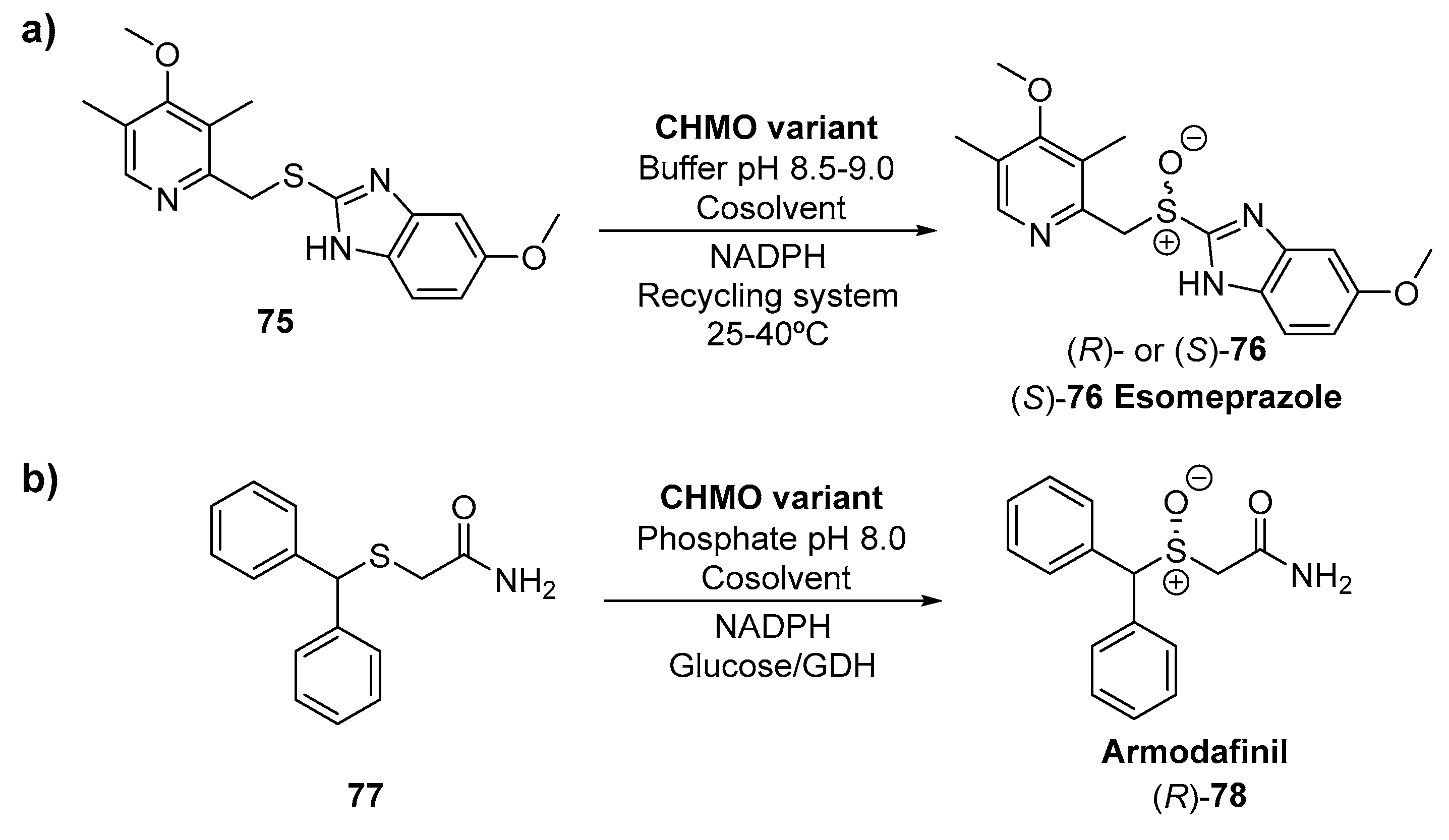 Catalysts 09 00802 sch028