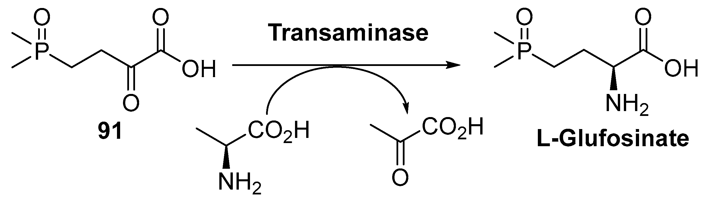 Catalysts 09 00802 sch033