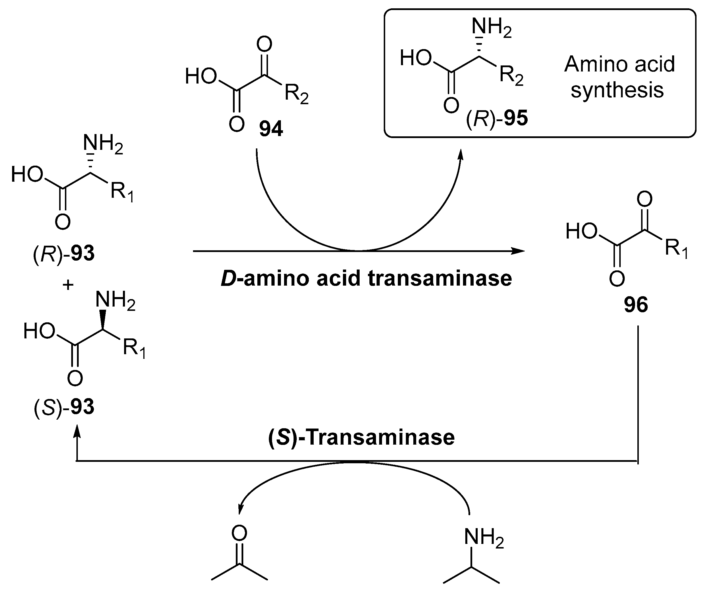Catalysts 09 00802 sch035