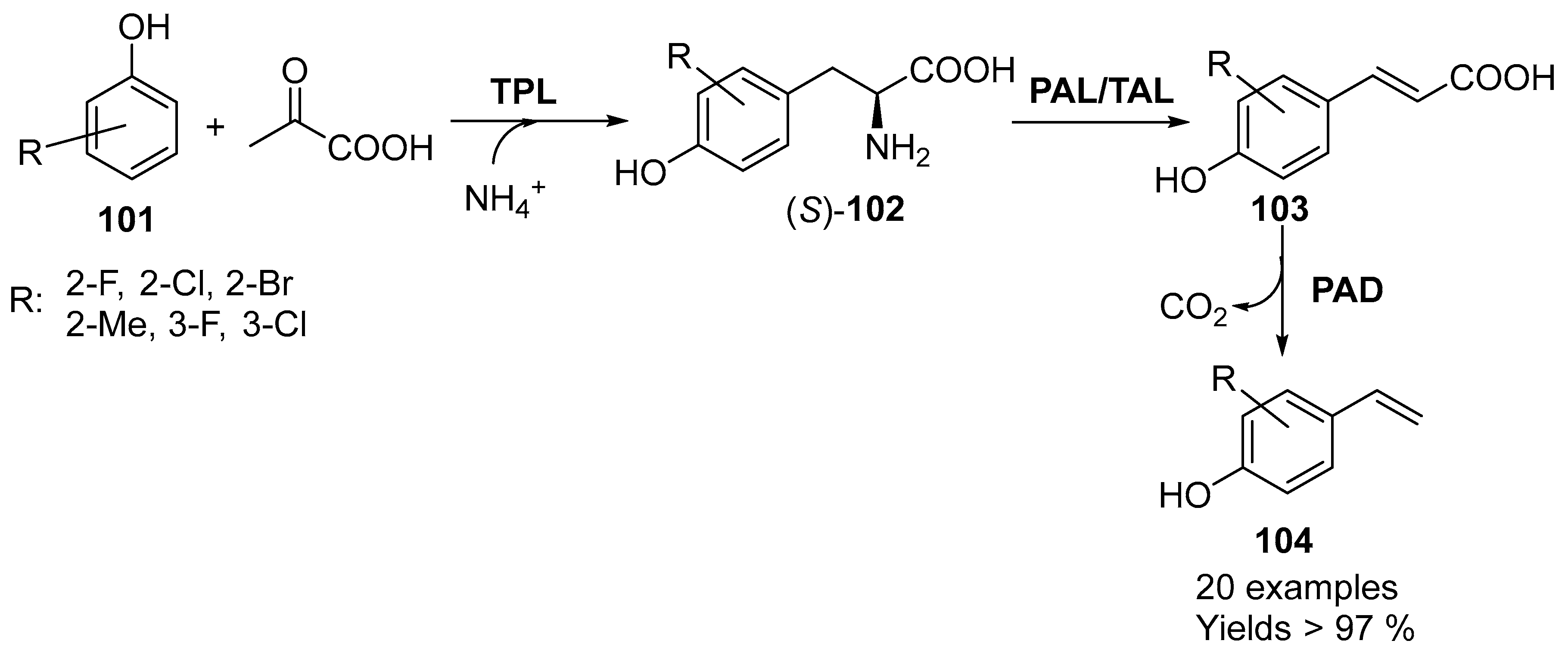 Catalysts 09 00802 sch038