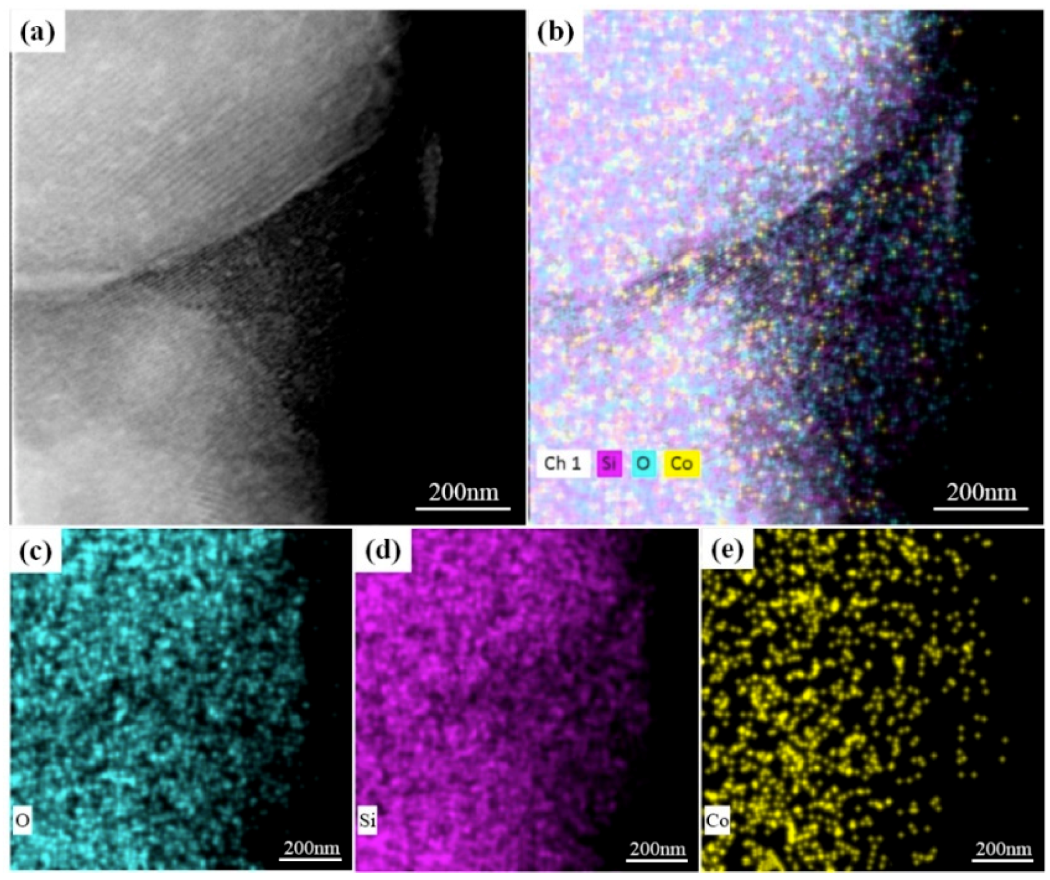 Catalysts 09 00809 g004 Catalysts 09 00809 g004
