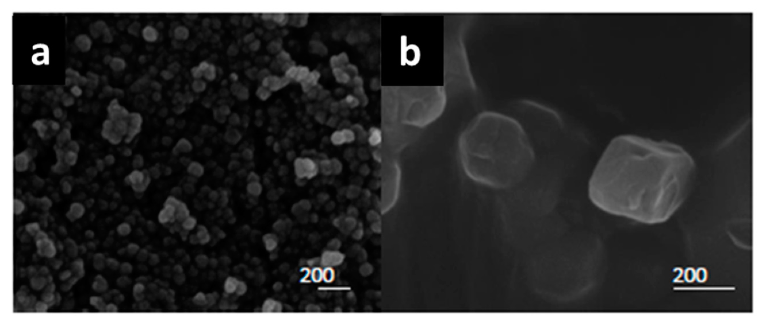 Catalysts 09 00812 g005 Catalysts 09 00812 g005