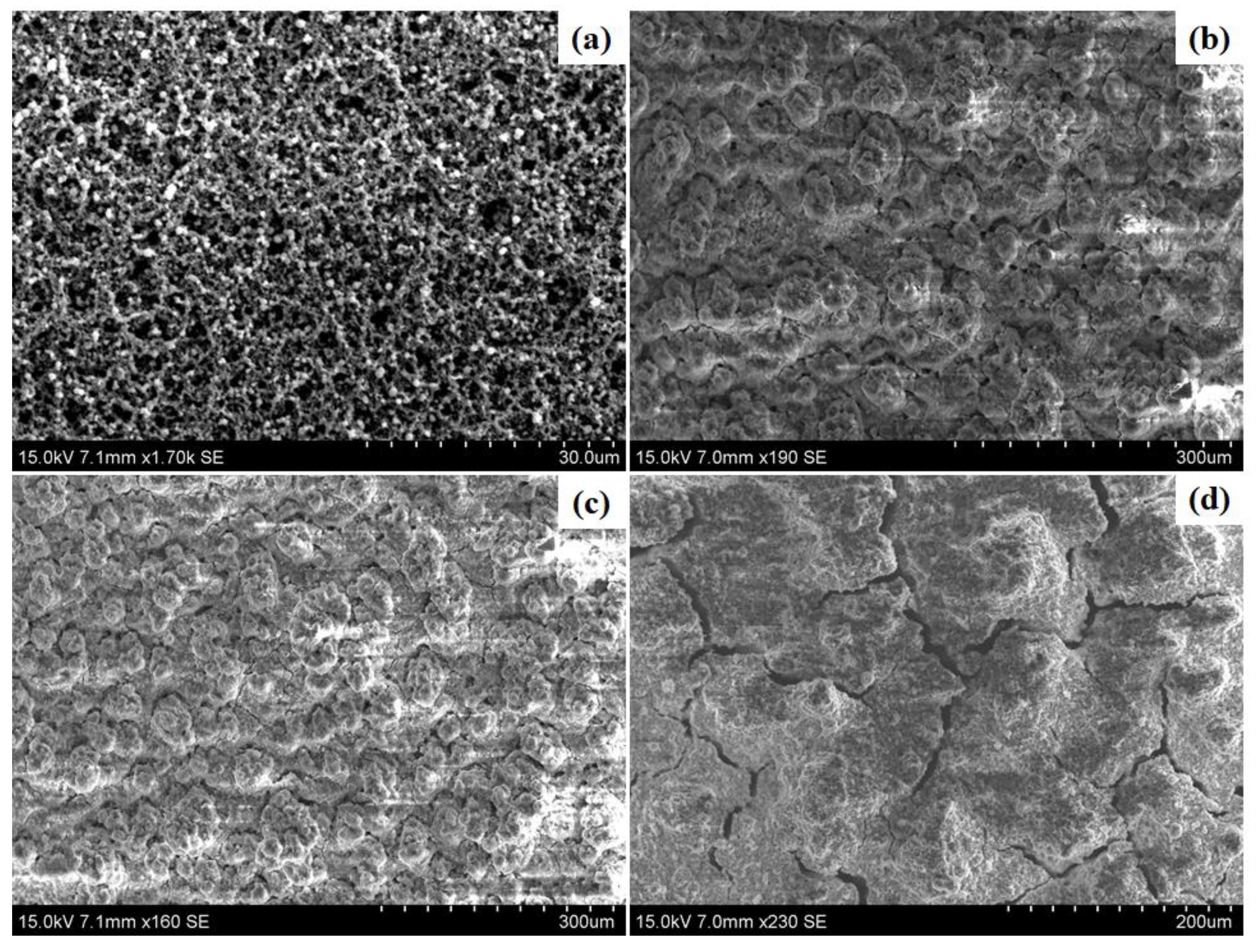 Catalysts 09 00814 g003 Catalysts 09 00814 g003