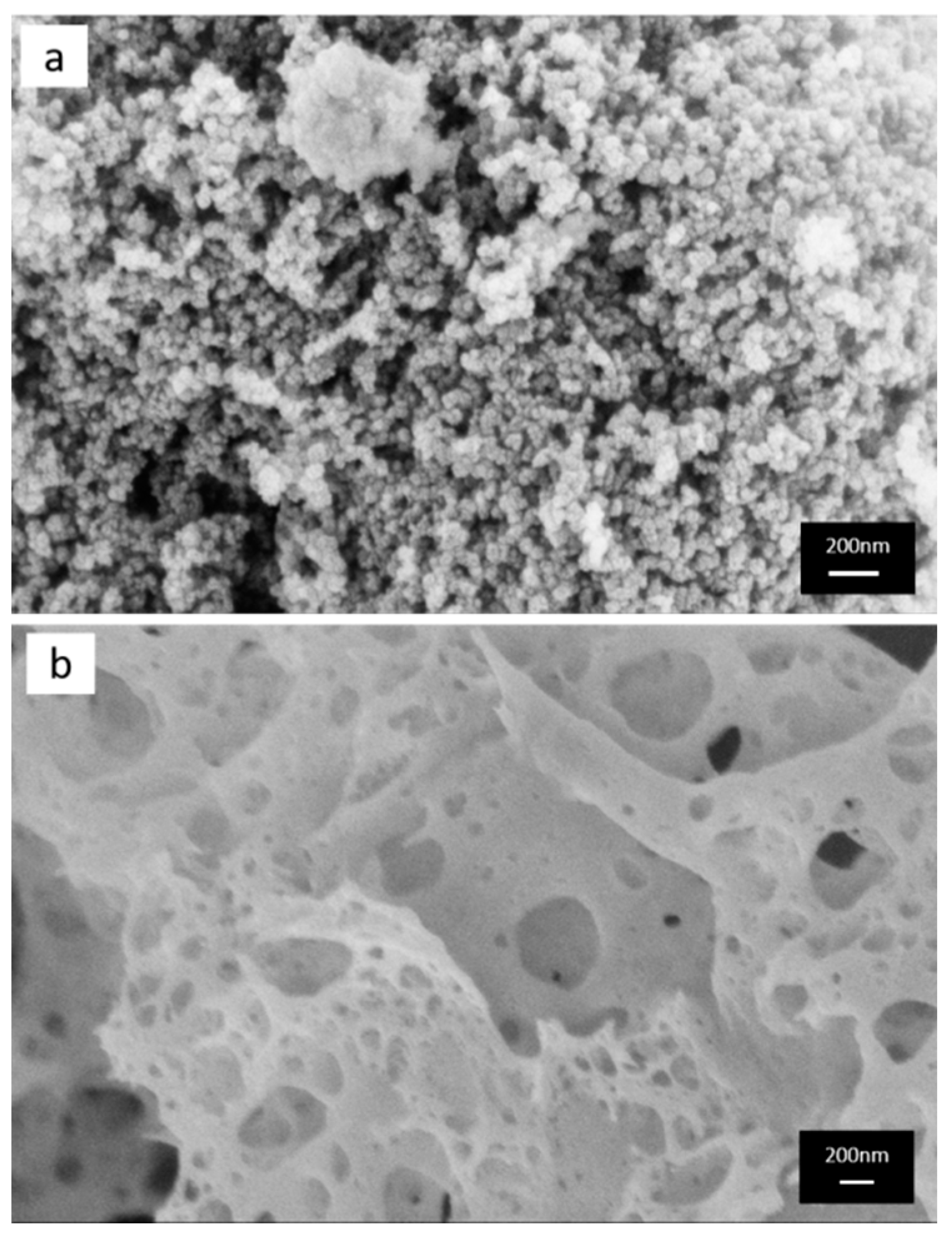 Catalysts 09 00815 g002 Catalysts 09 00815 g002