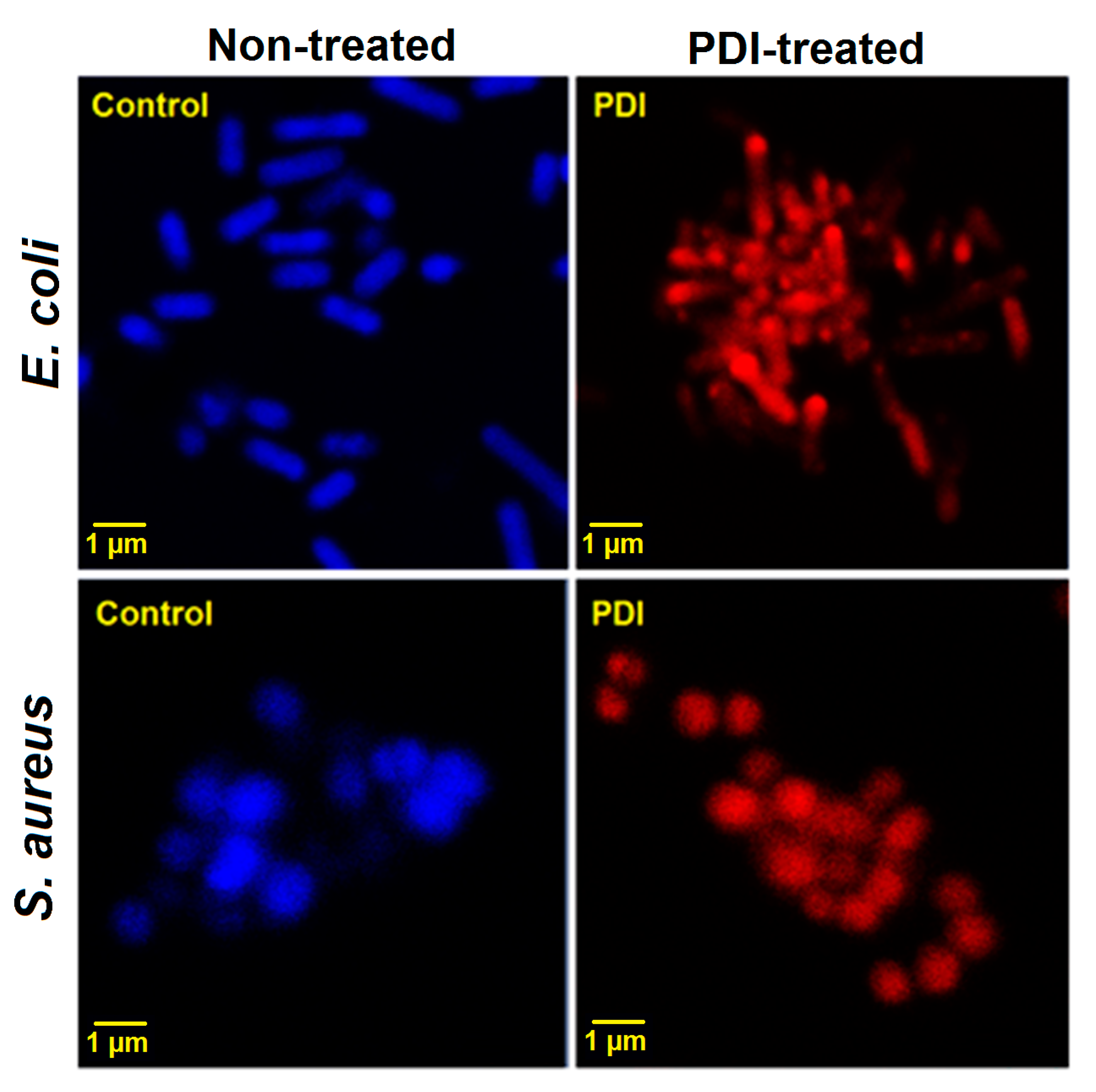 Catalysts 09 00821 g012 Catalysts 09 00821 g012